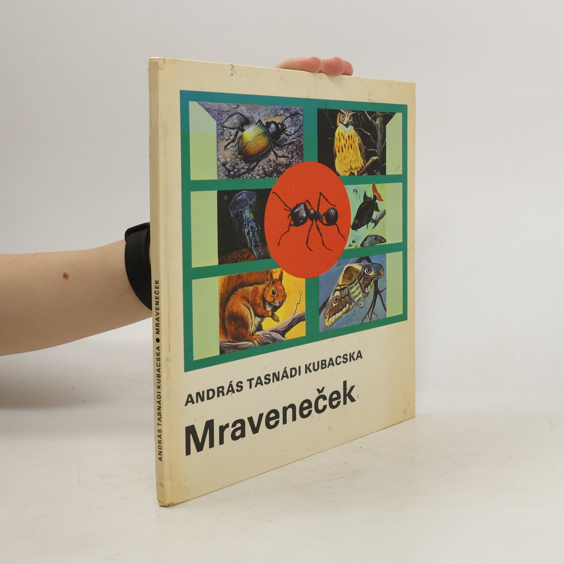 András Tasnádi Kubacska Mraveneček