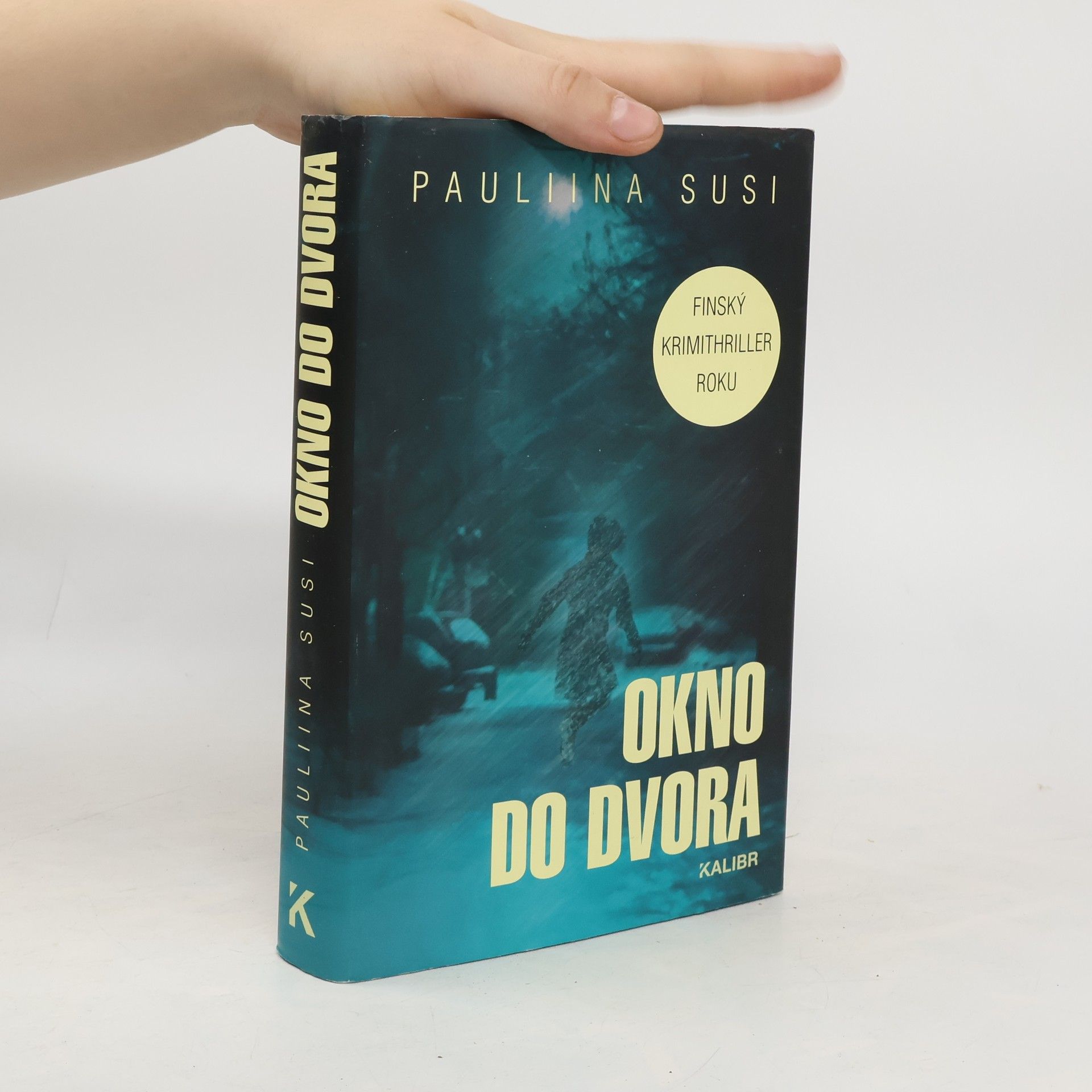 Pauliina Susi Okno do dvora