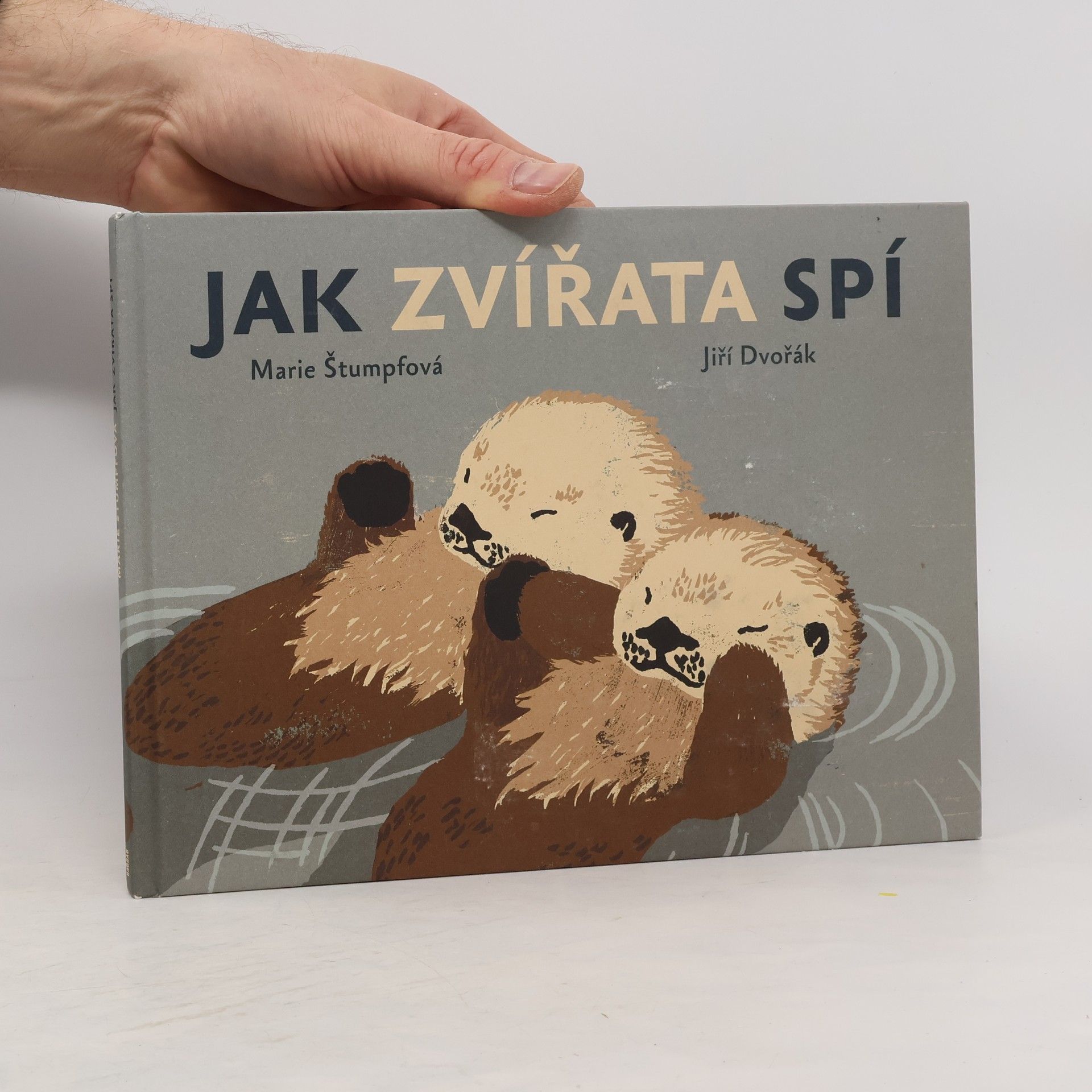 Marie Štumpfová Jak zvířata spí