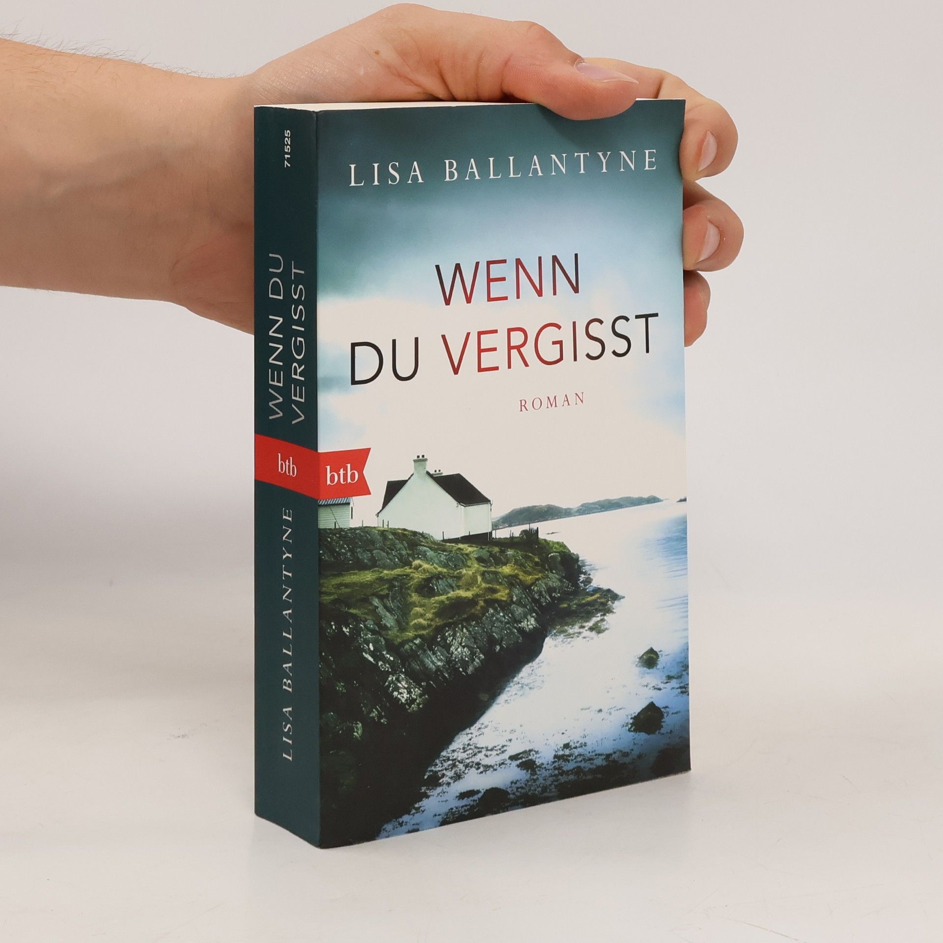 Lisa Ballantyne Wenn du vergisst