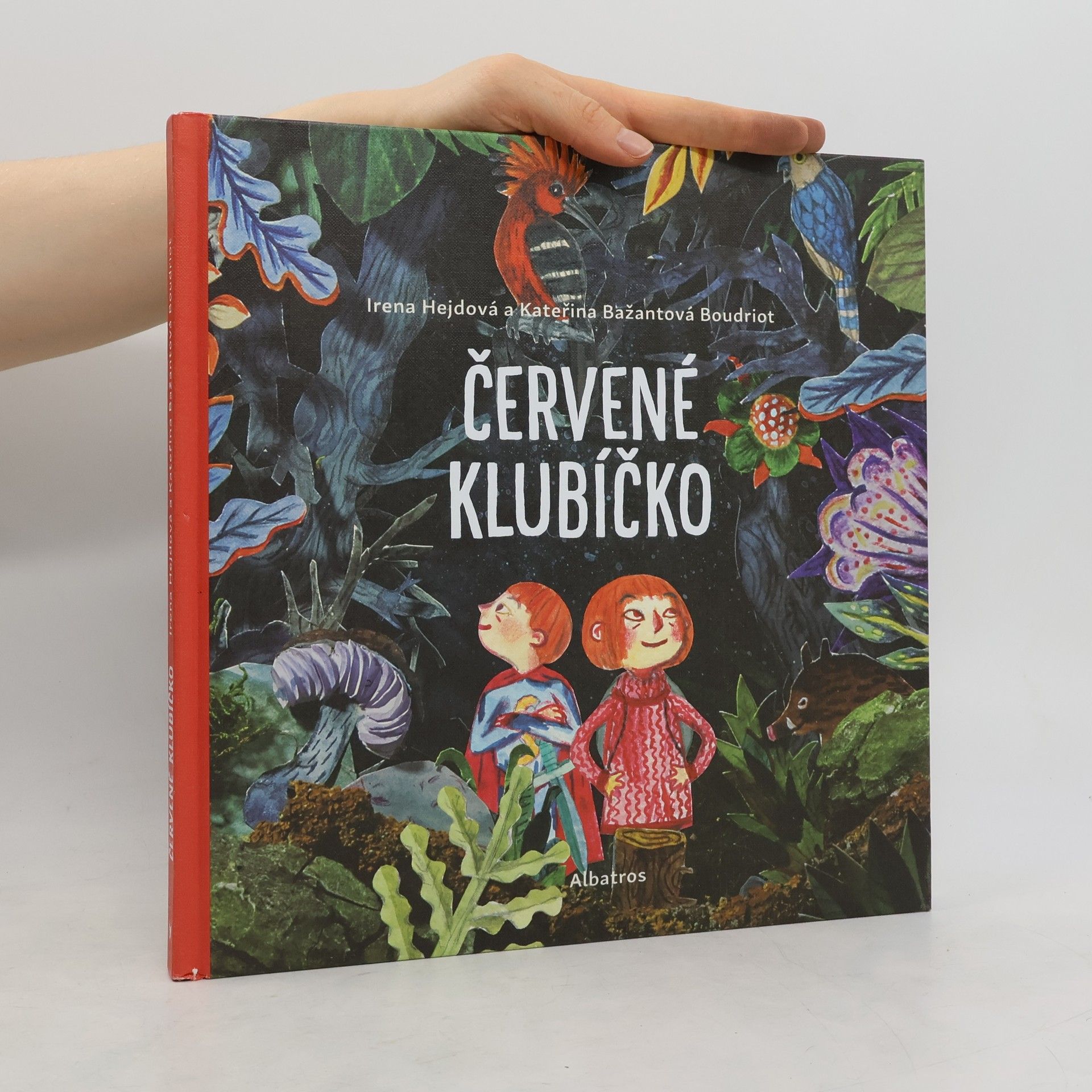 Irena Hejdová Červené klubíčko