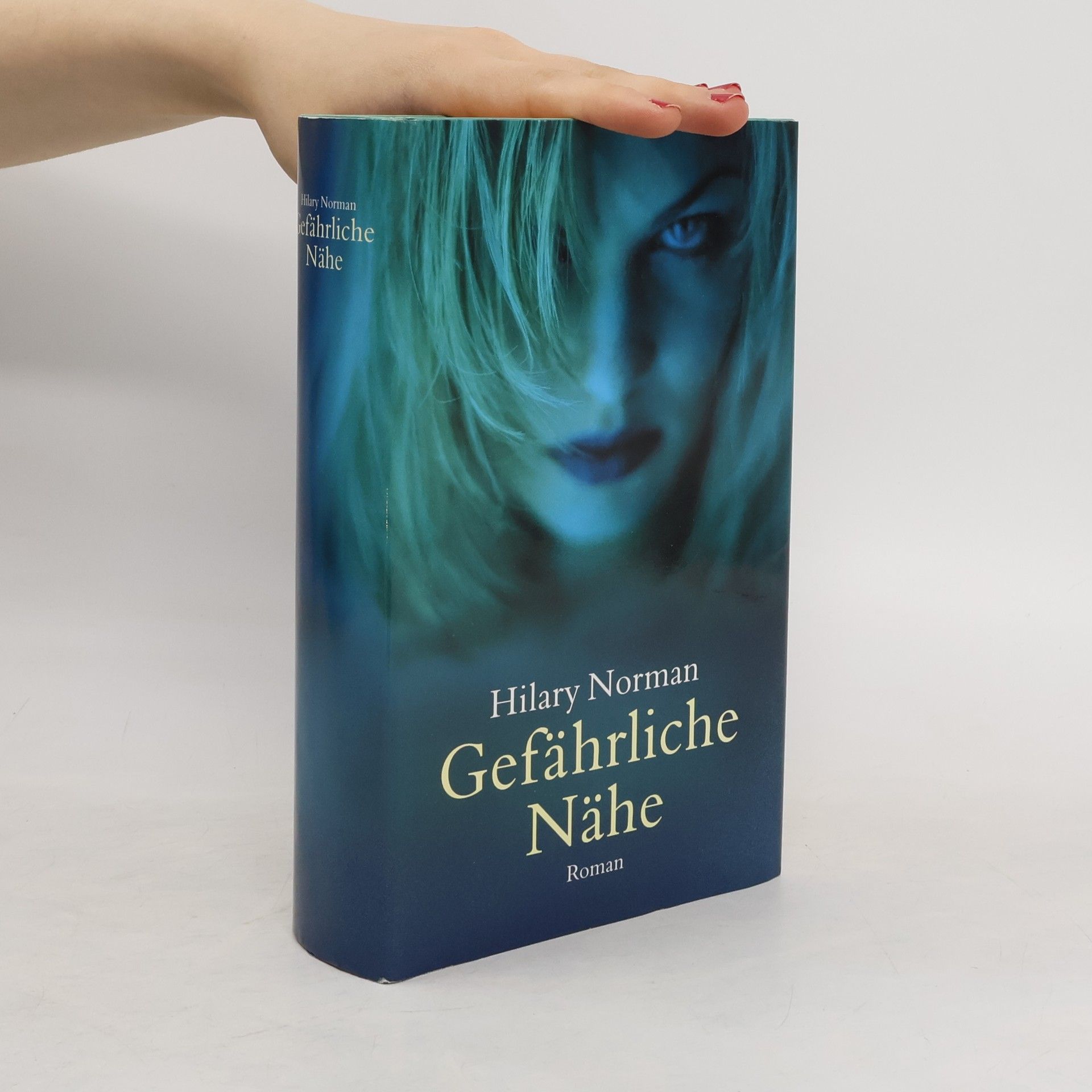 Hilary Norman Gefährliche Nähe