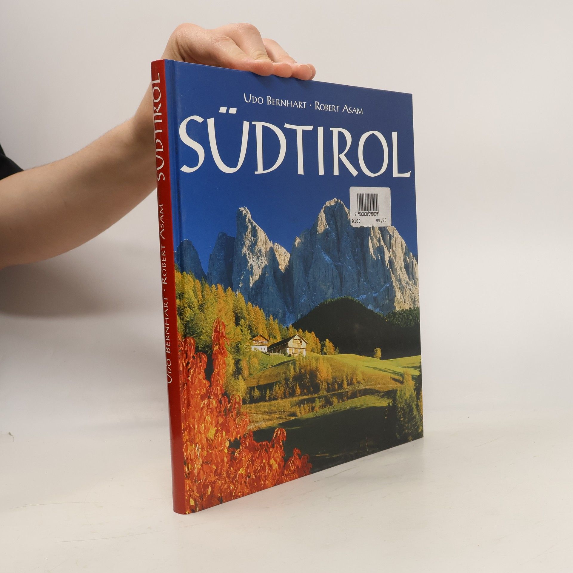 Udo Bernhart Südtirol
