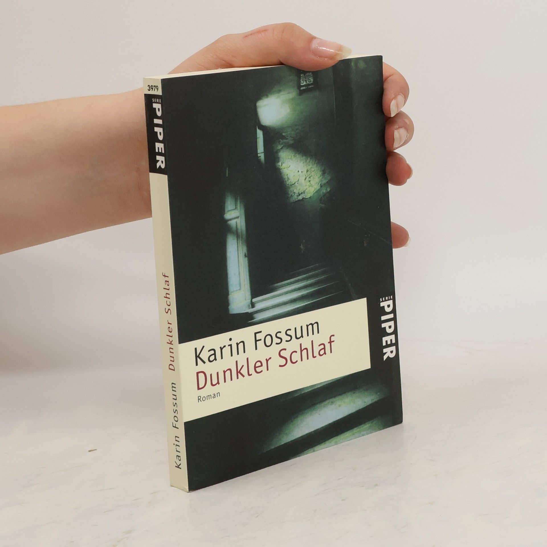 Karin Fossum Dunkler Schlaf