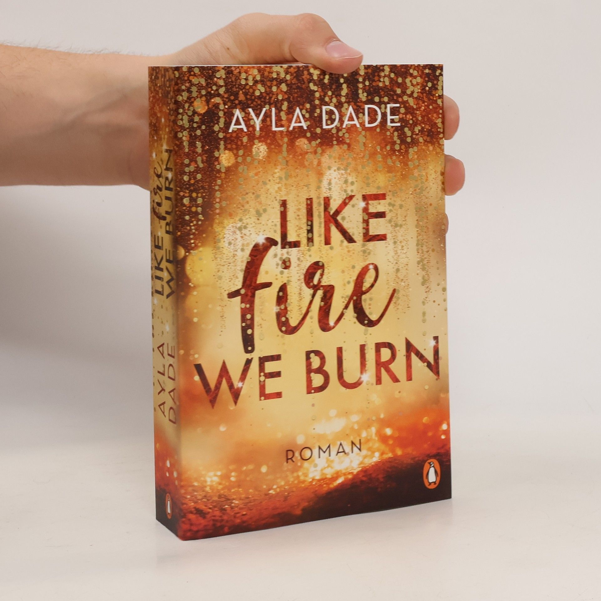 Ayla Dade Like Fire We Burn