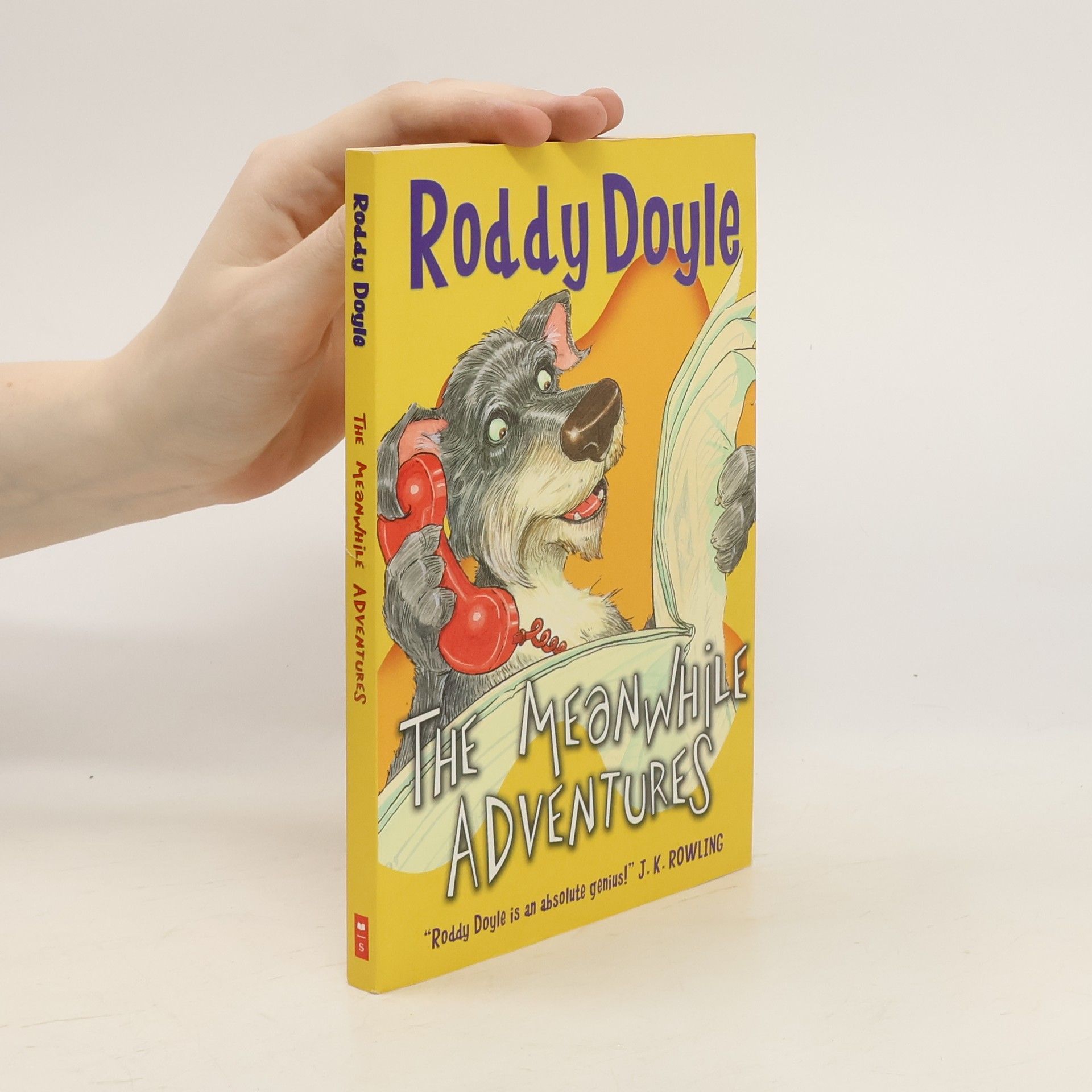 Roddy Doyle The Meanwhile Adventures