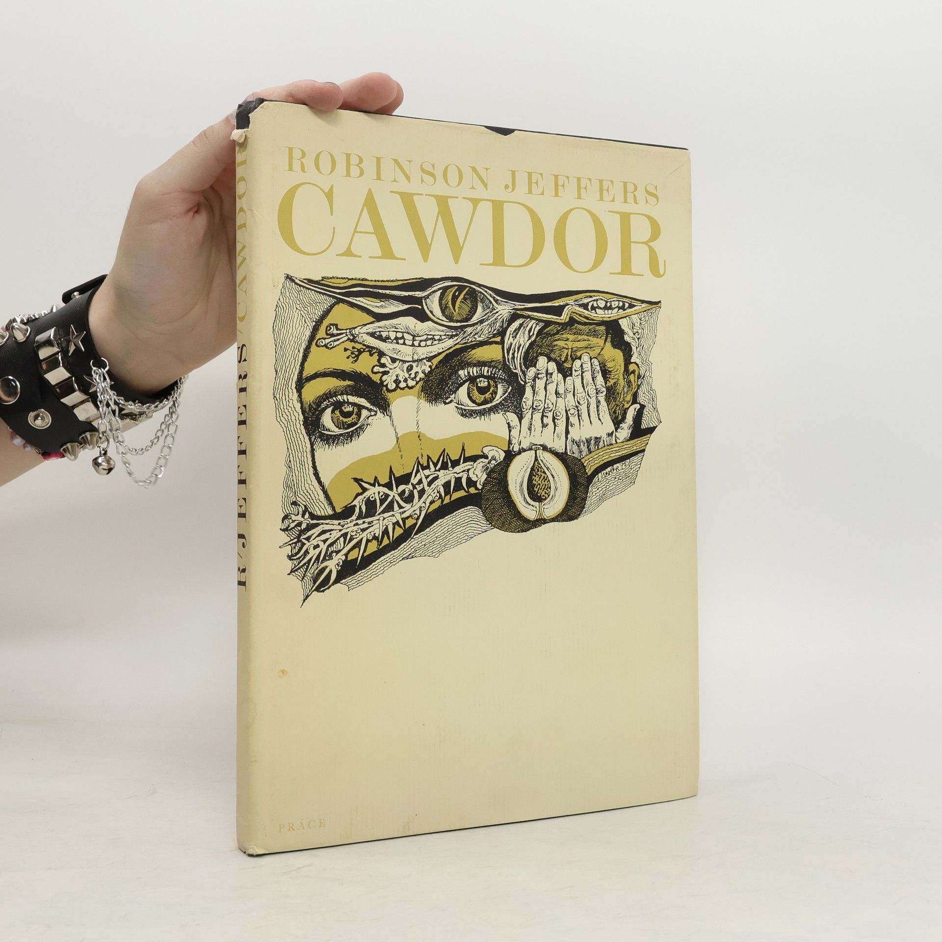 Robinson Jeffers Cawdor
