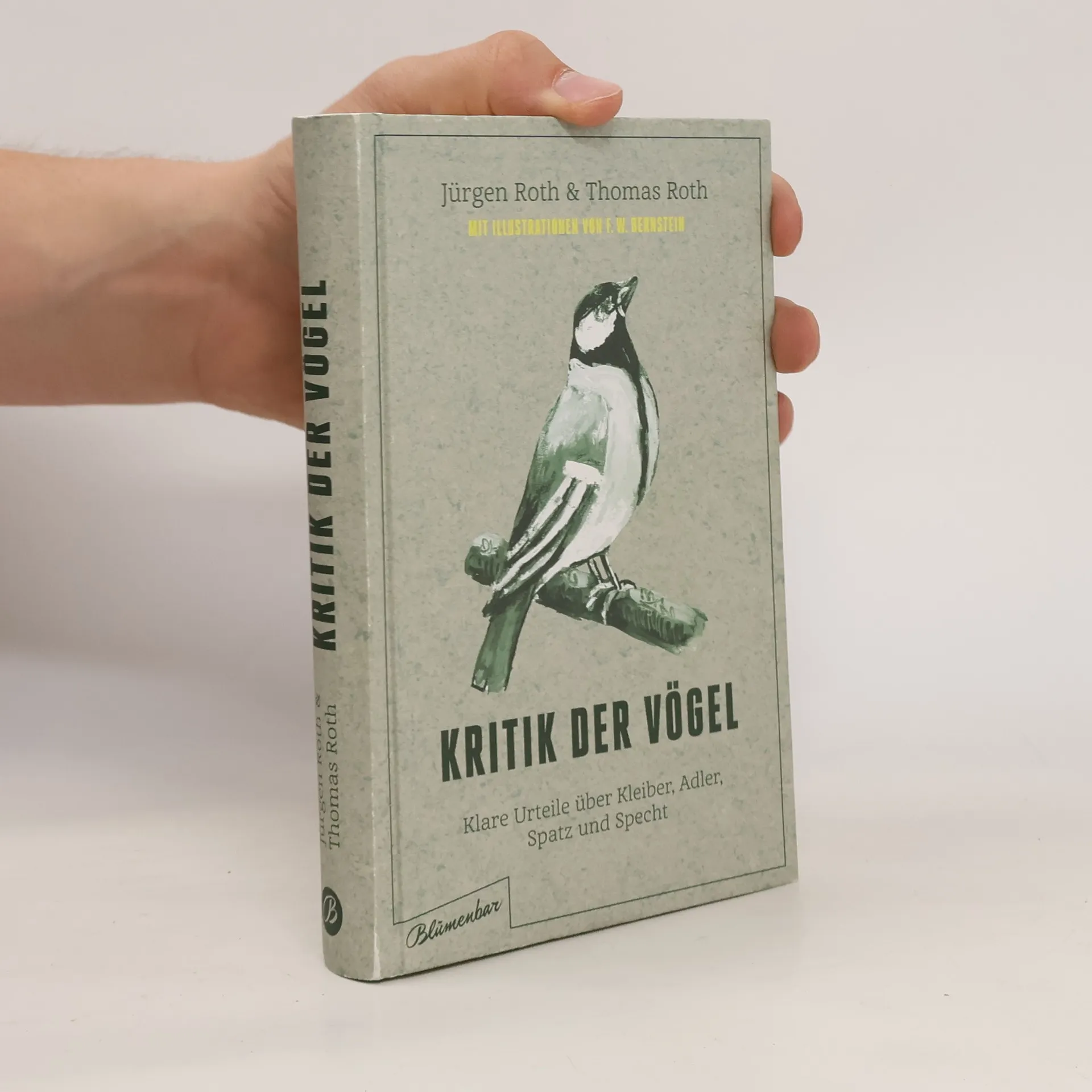 Kritik der Vögel | Buch | Hardcover | Jürgen Roeth