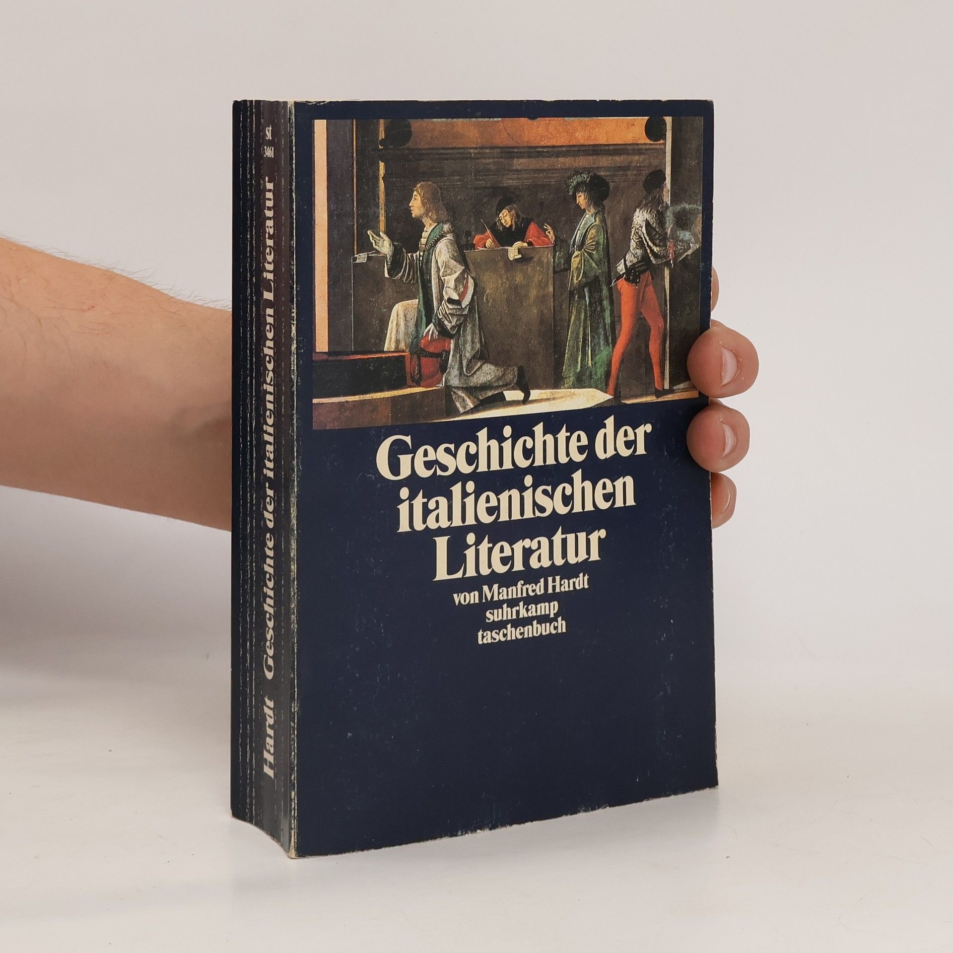 Manfred Hardt Geschichte der italienischen Literatur