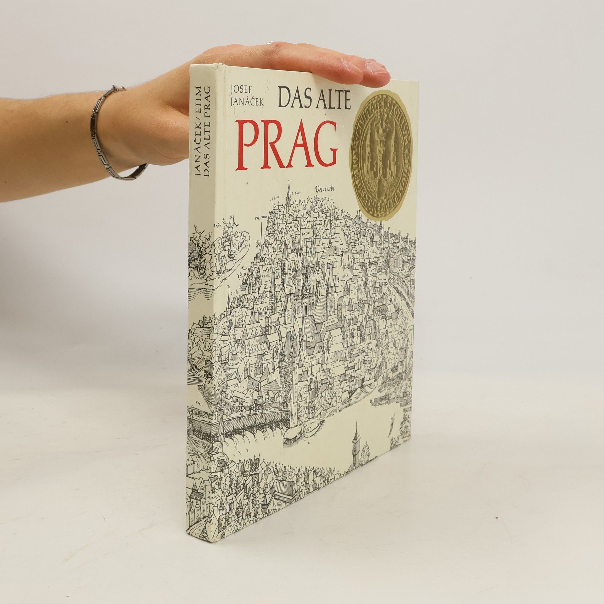 Autorenkollektiv Das Alte Prag