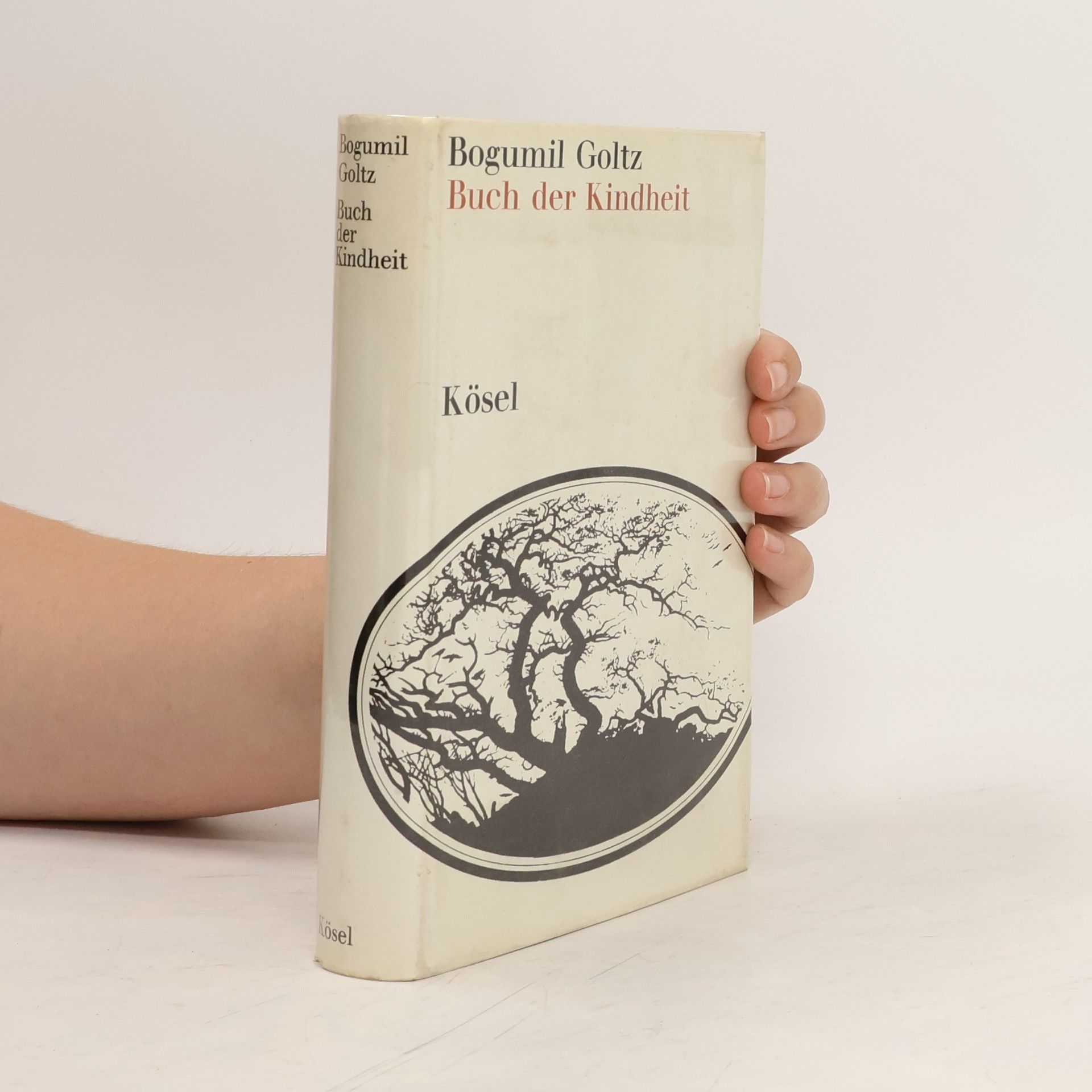 Bogumil Goltz Buch der Kindheit