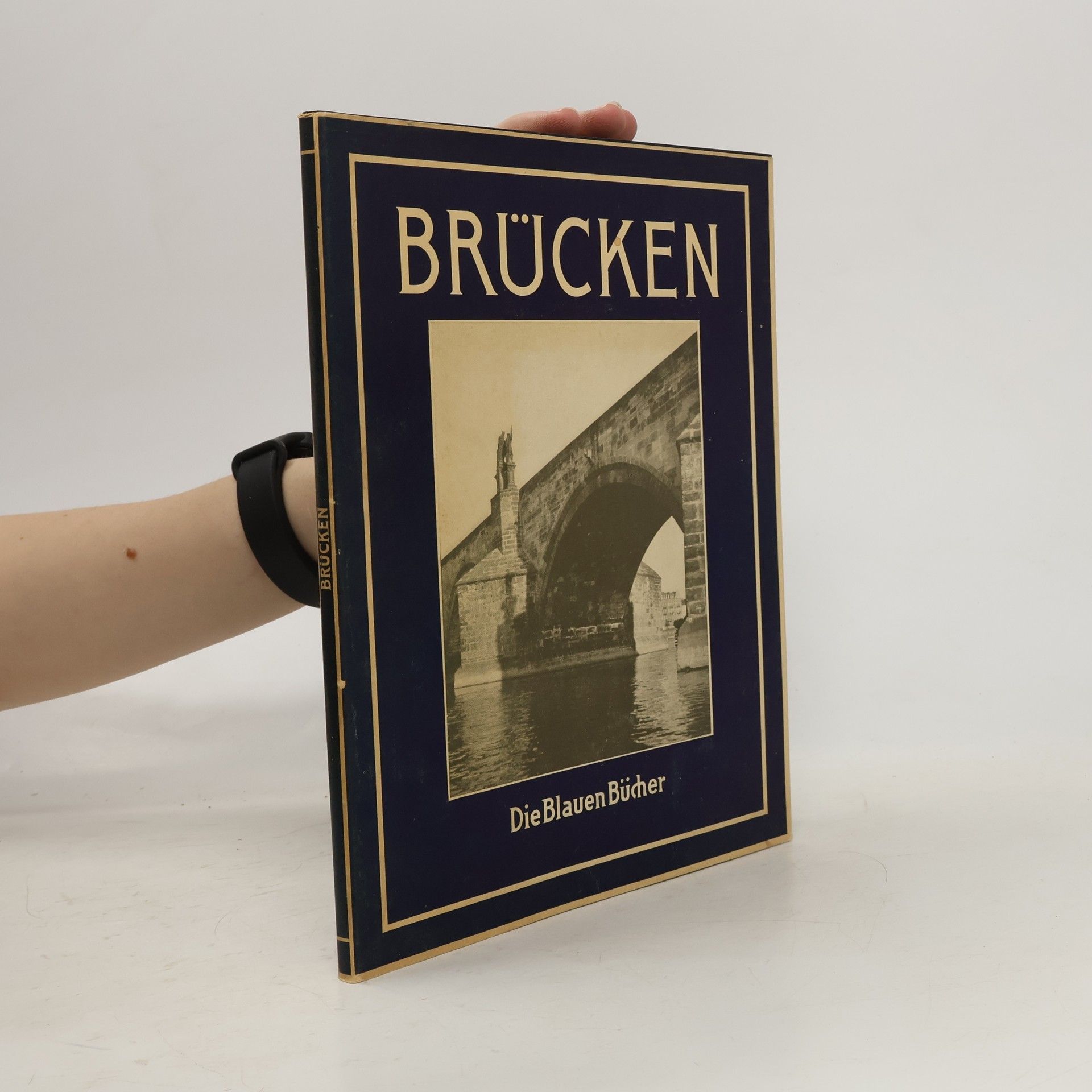 Paul Bonatz Brucken