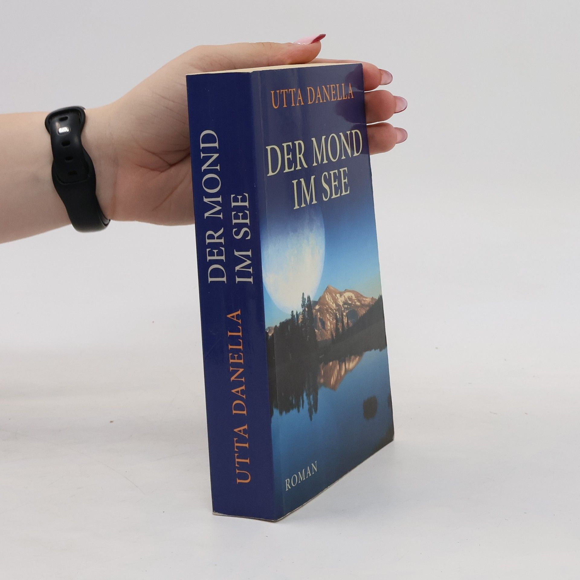 Utta Danella Der Mond Im See