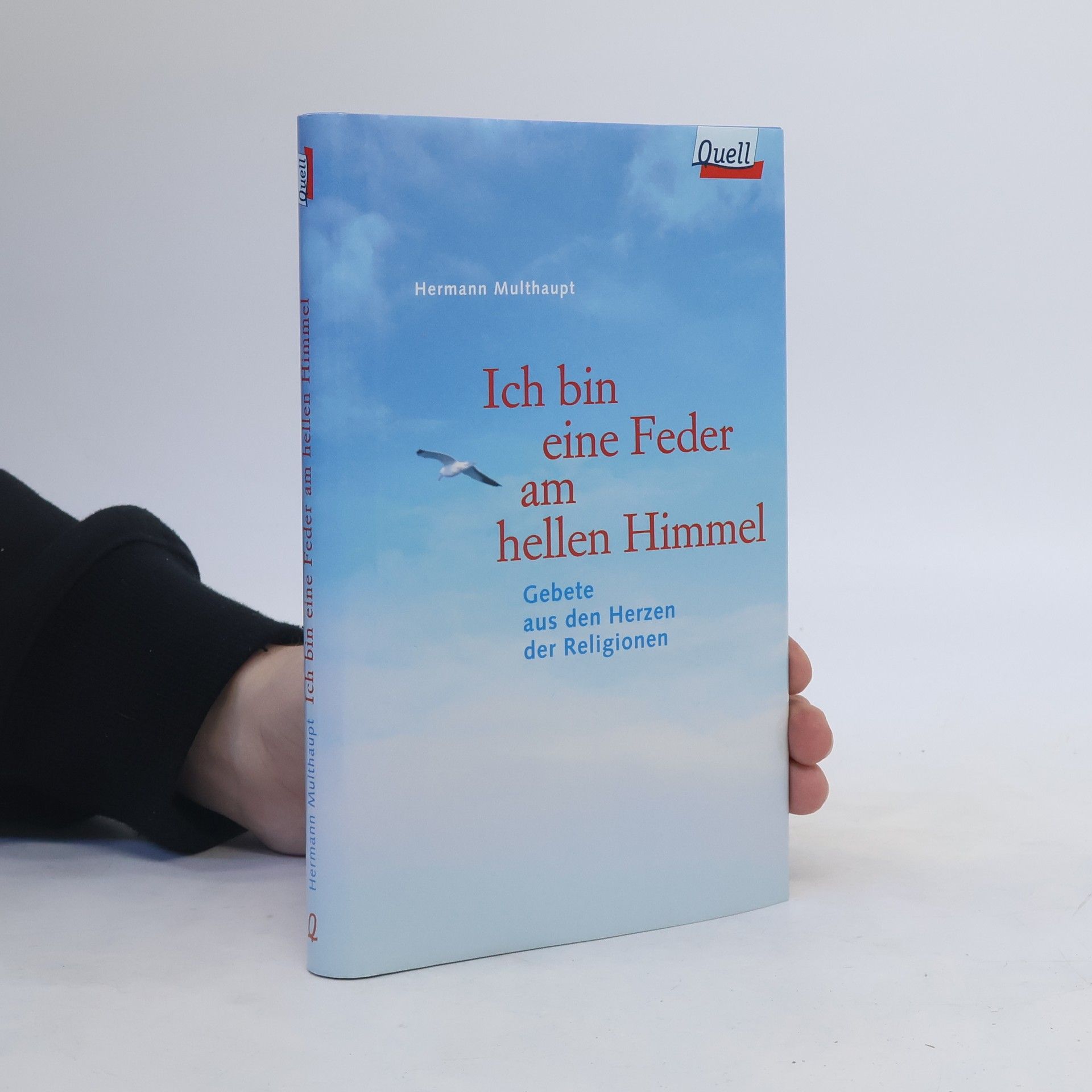 Hermann Multhaupt Ich bin eine Feder am hellen Himmel