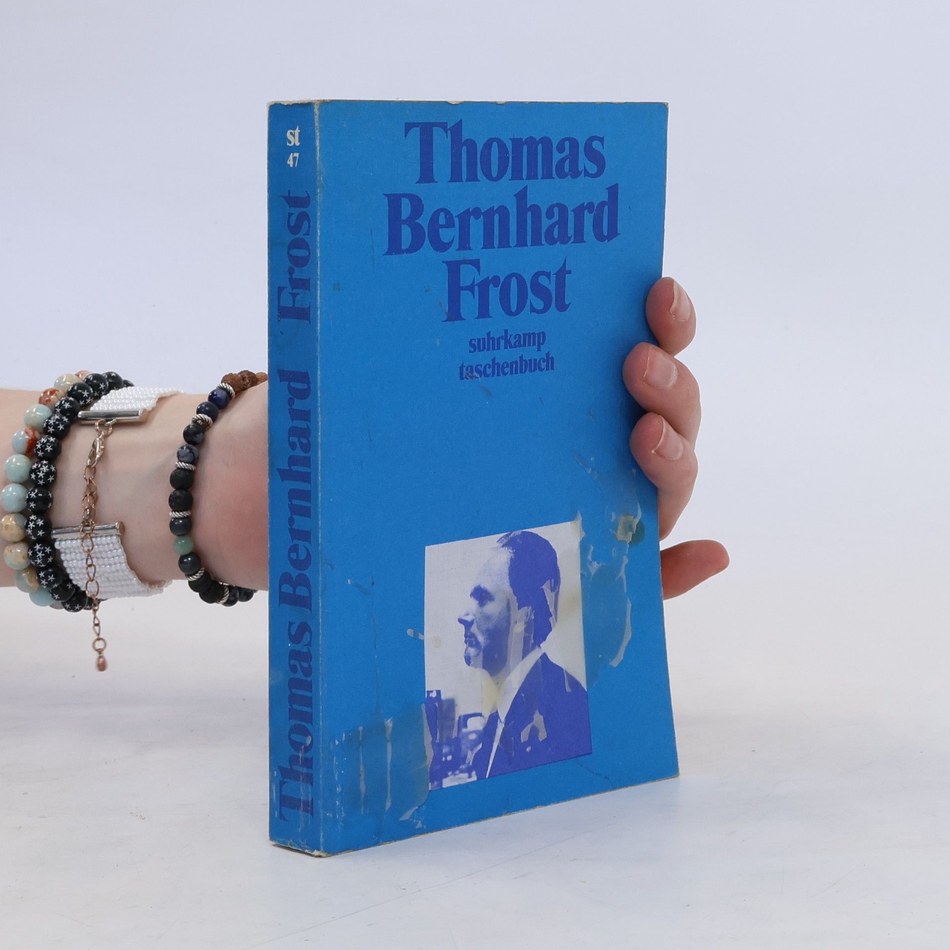 Thomas Bernhard Frost
