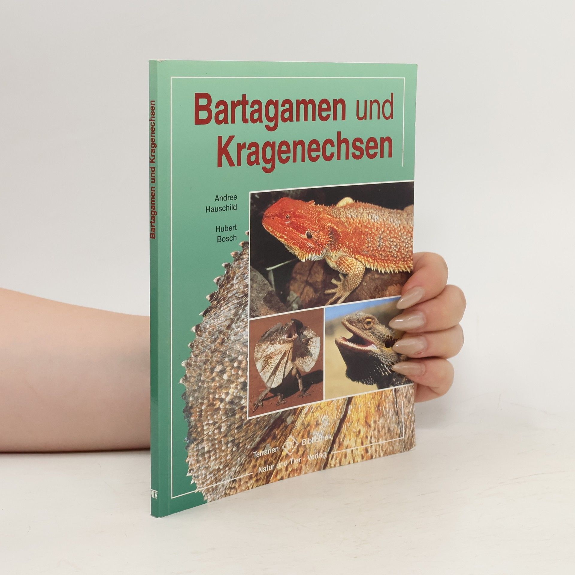 Andree Hauschild Bartagamen und Kragenechsen