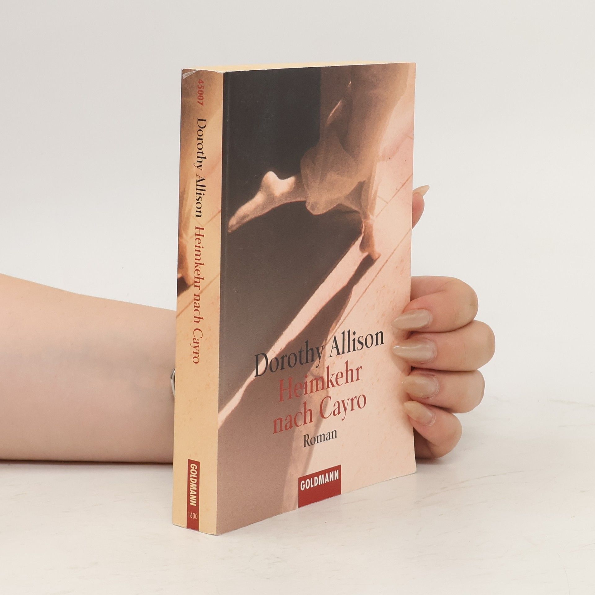 Dorothy Allison Heimkehr nach Cayro