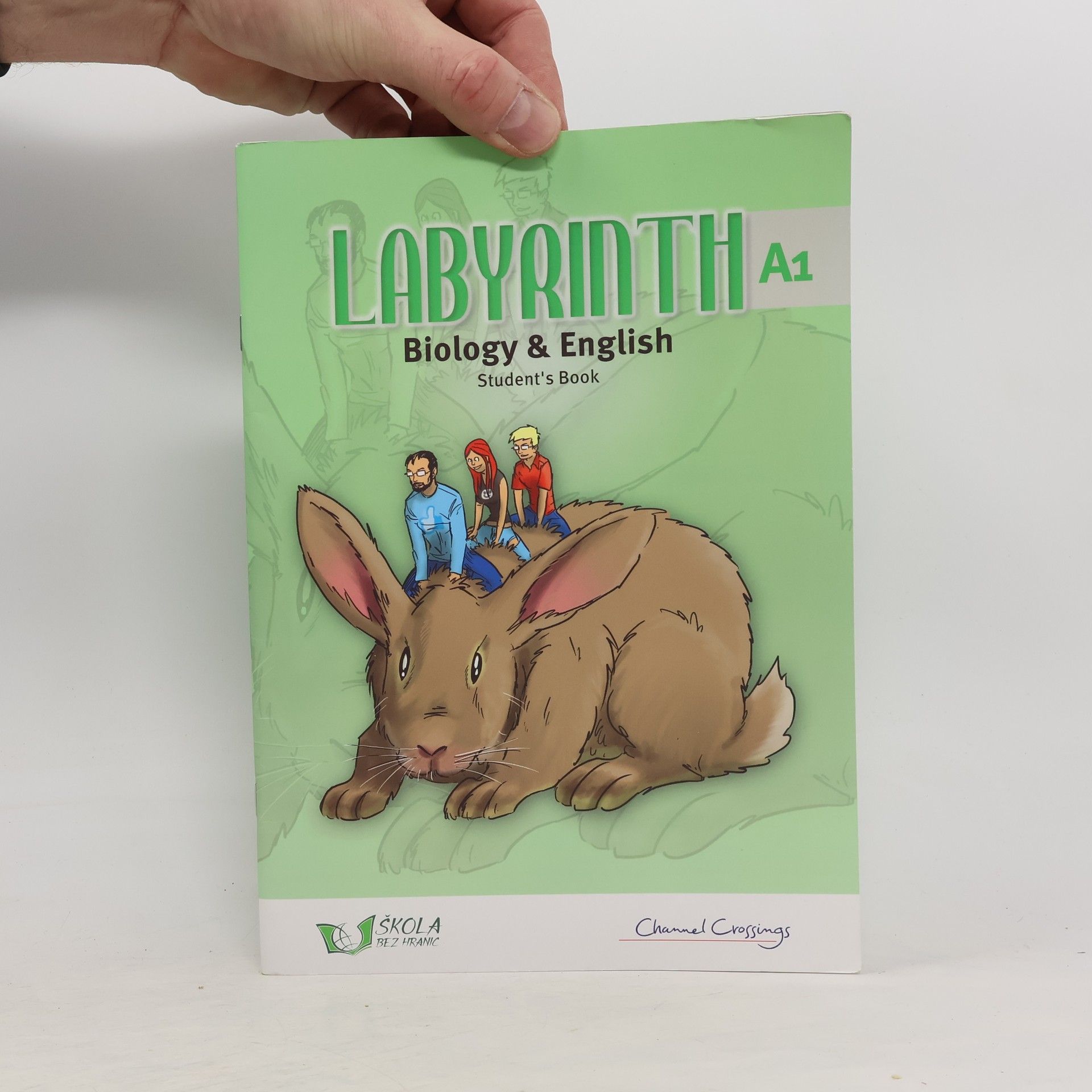 Iva pavlová Labyrinth A1