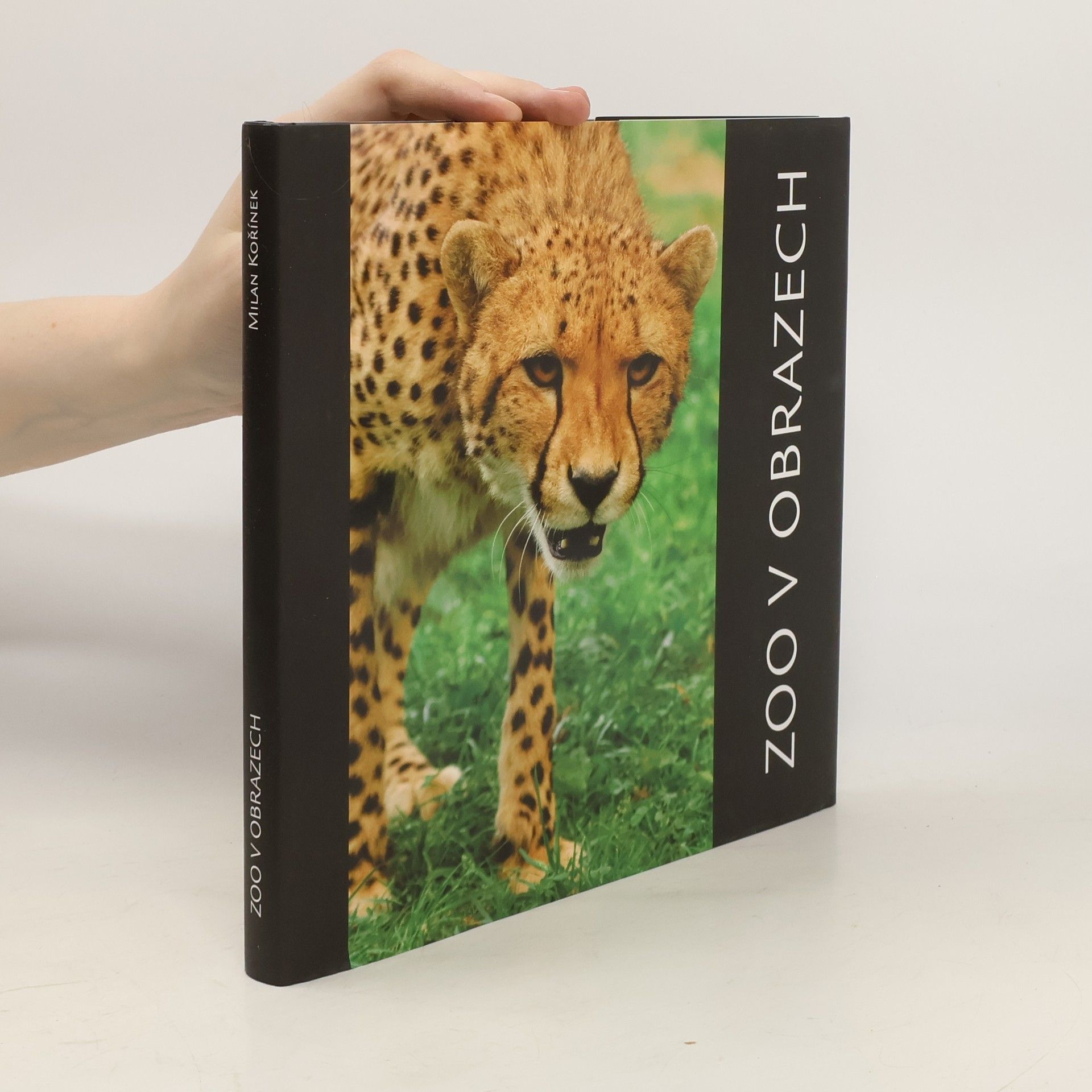 Milan Kořínek ZOO v obrazech