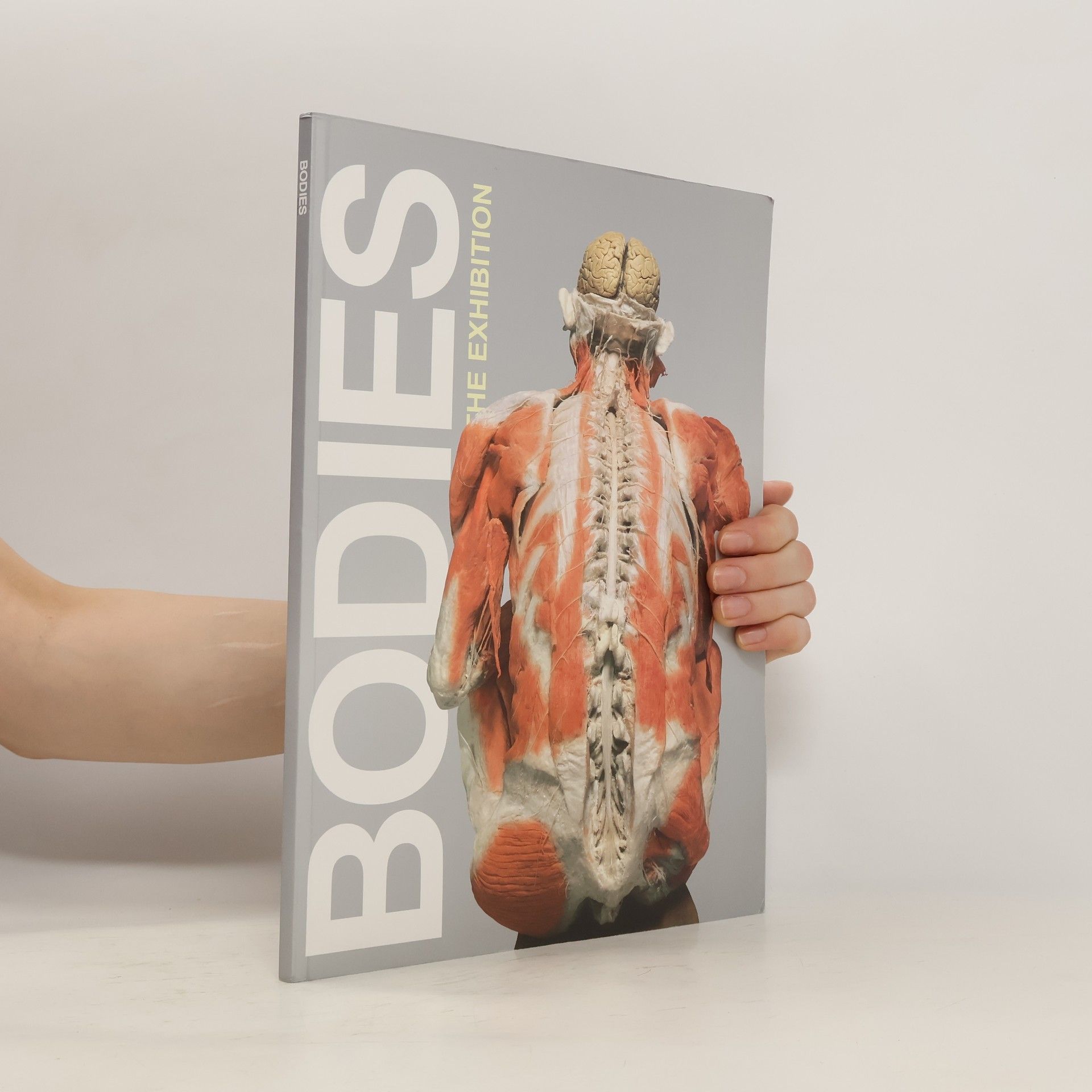 kolektiv Bodies. The Exhibition