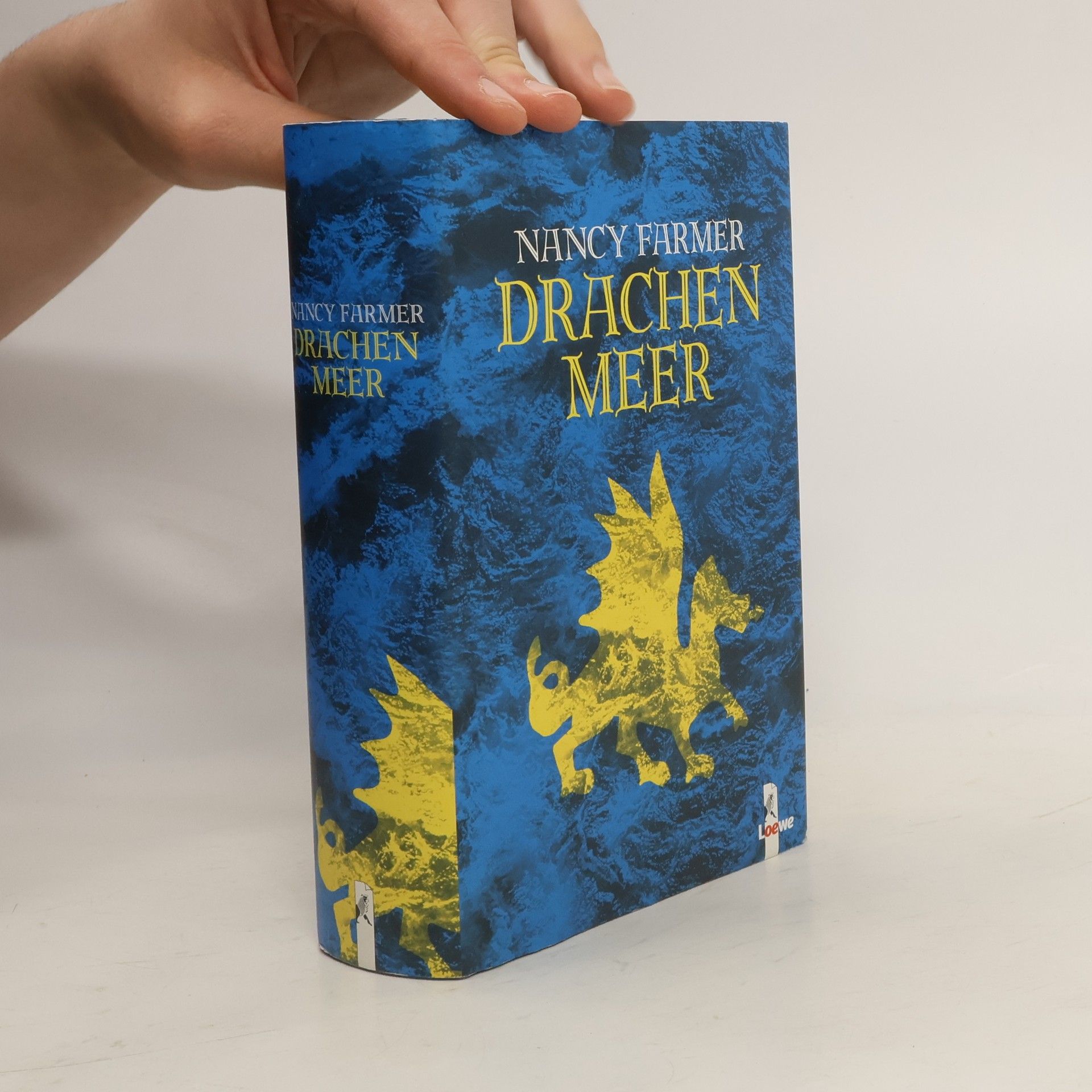 Nancy Farmer Drachen Meer