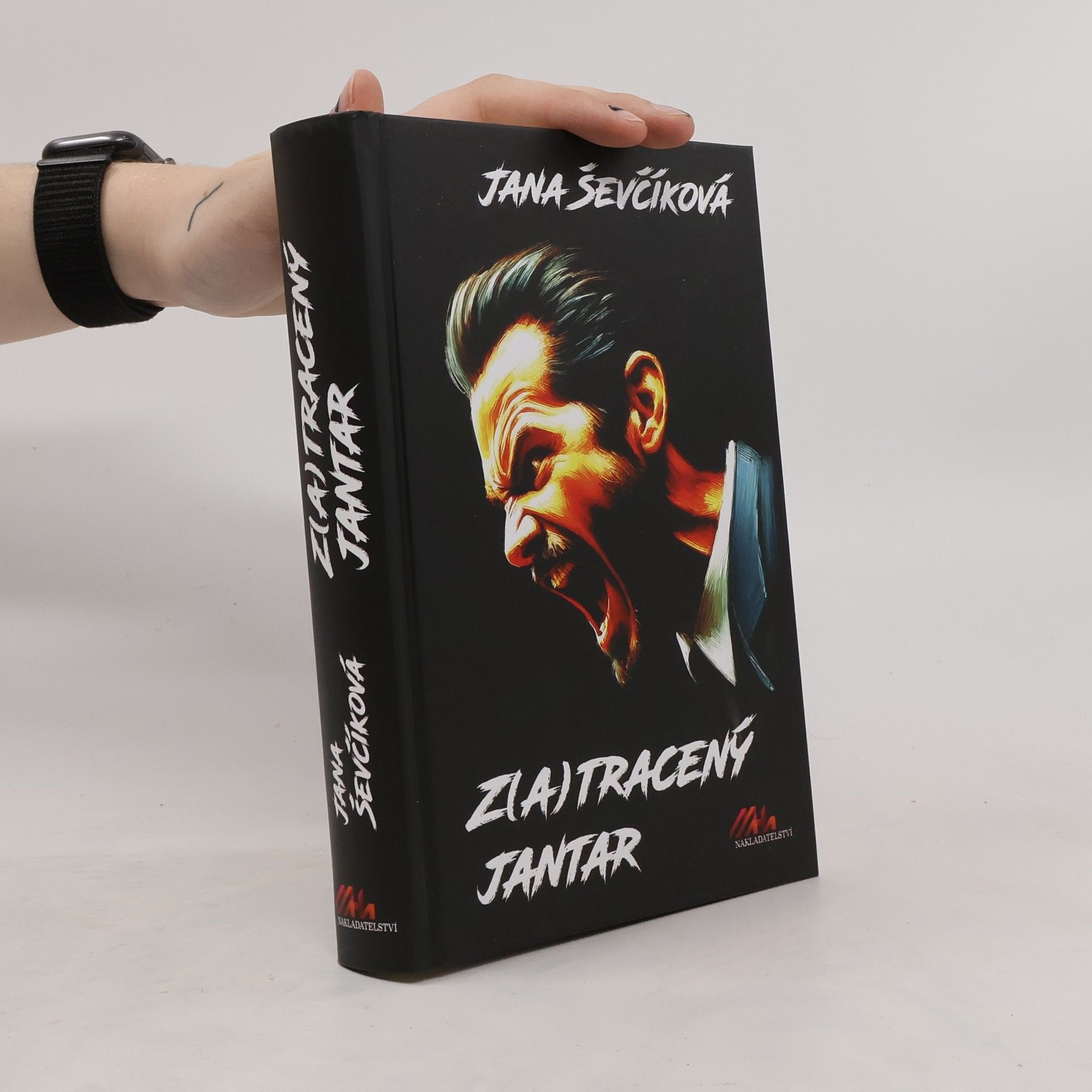 Jana Ševčíková Z(a)tracený jantar