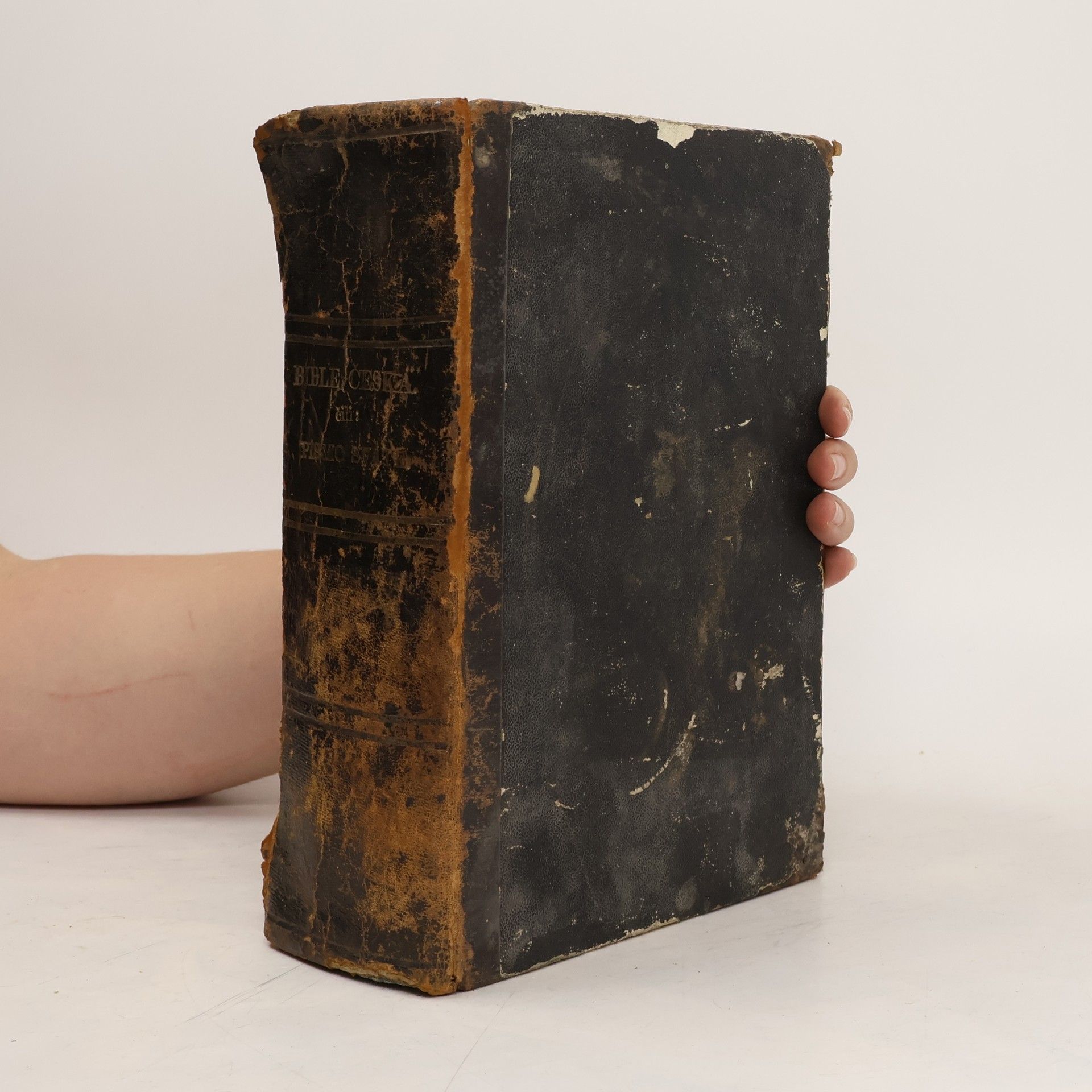 Various authors Bible česká čili Písmo swaté starého i nowého Zákona