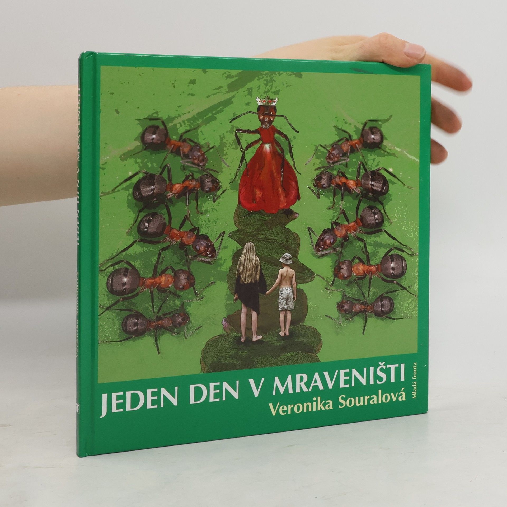 Veronika Souralová Jeden den v mraveništi