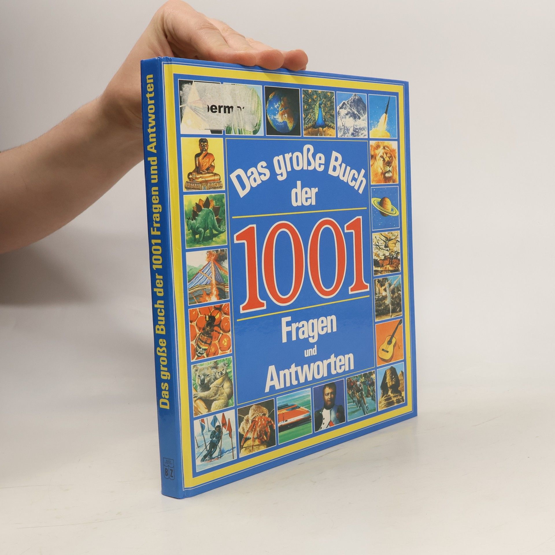 Collective Das große Buch der 1001 Fragen und Antworten