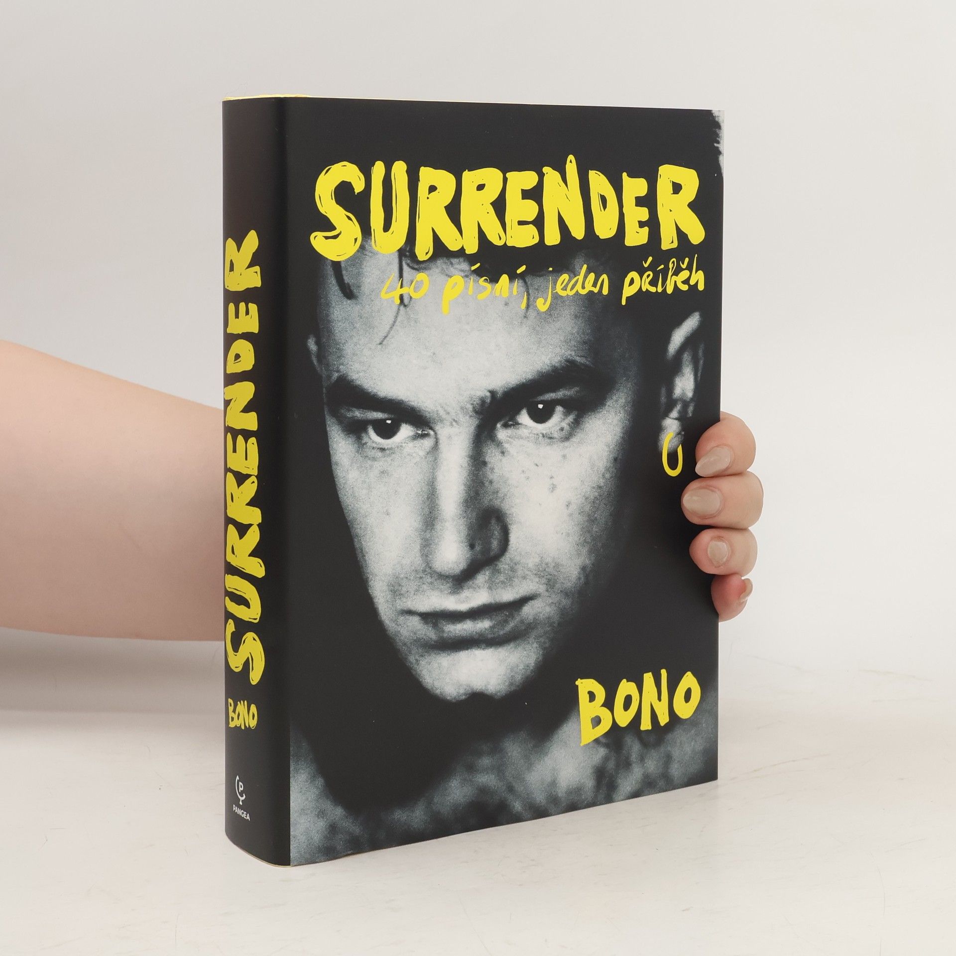 Bono Surrender : 40 písní, jeden příběh