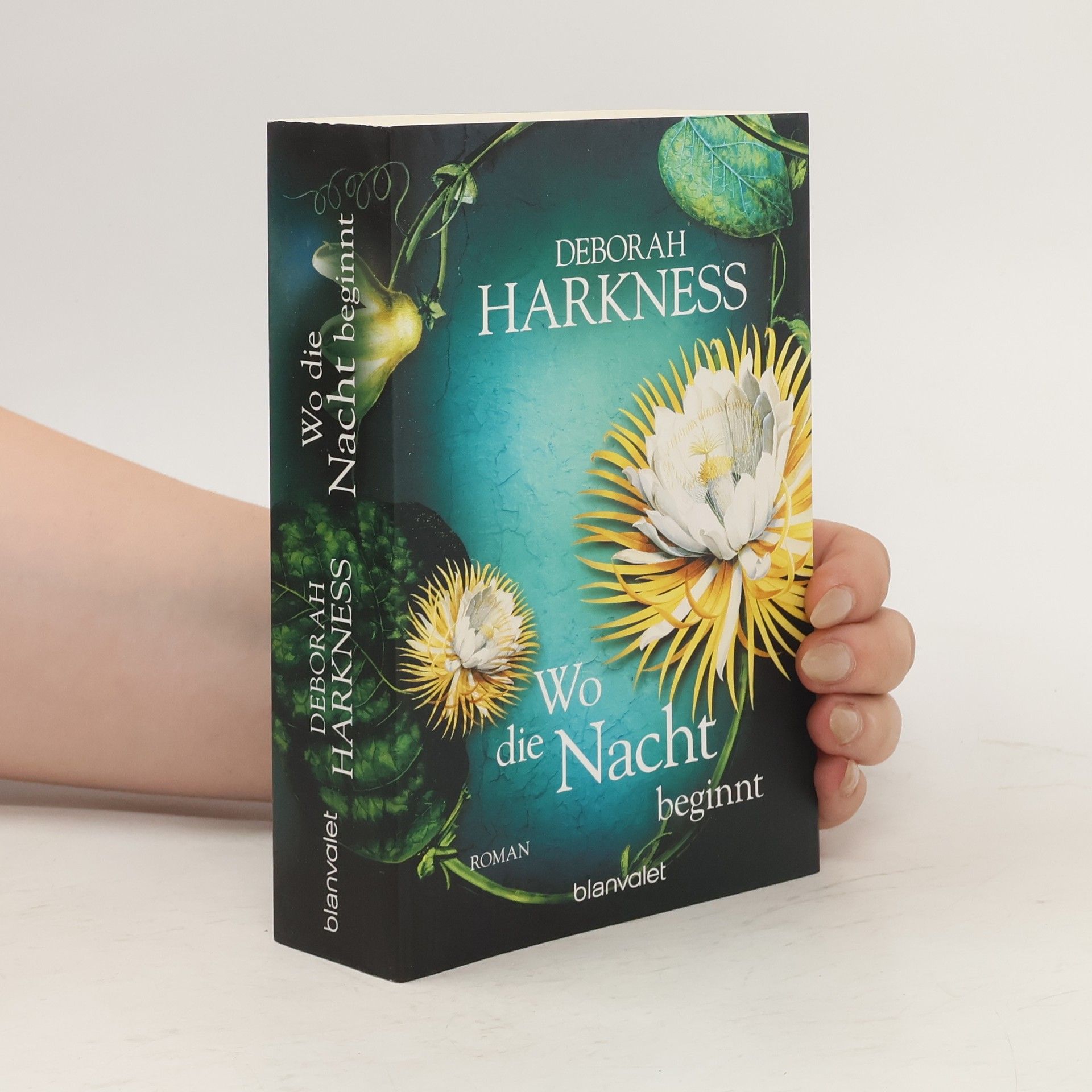 Deborah Harkness Wo die Nacht beginnt