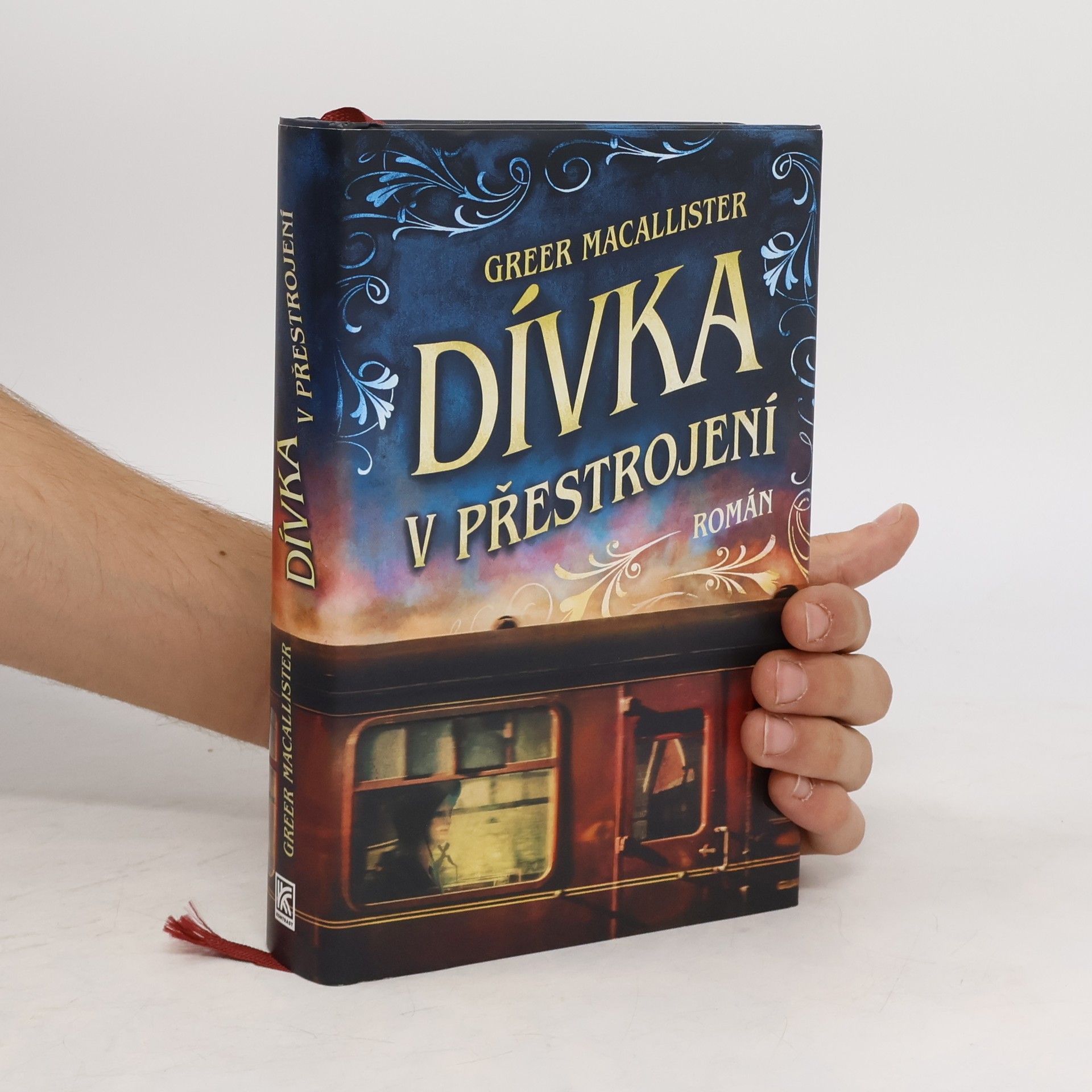 Greer Macallister Dívka v přestrojení