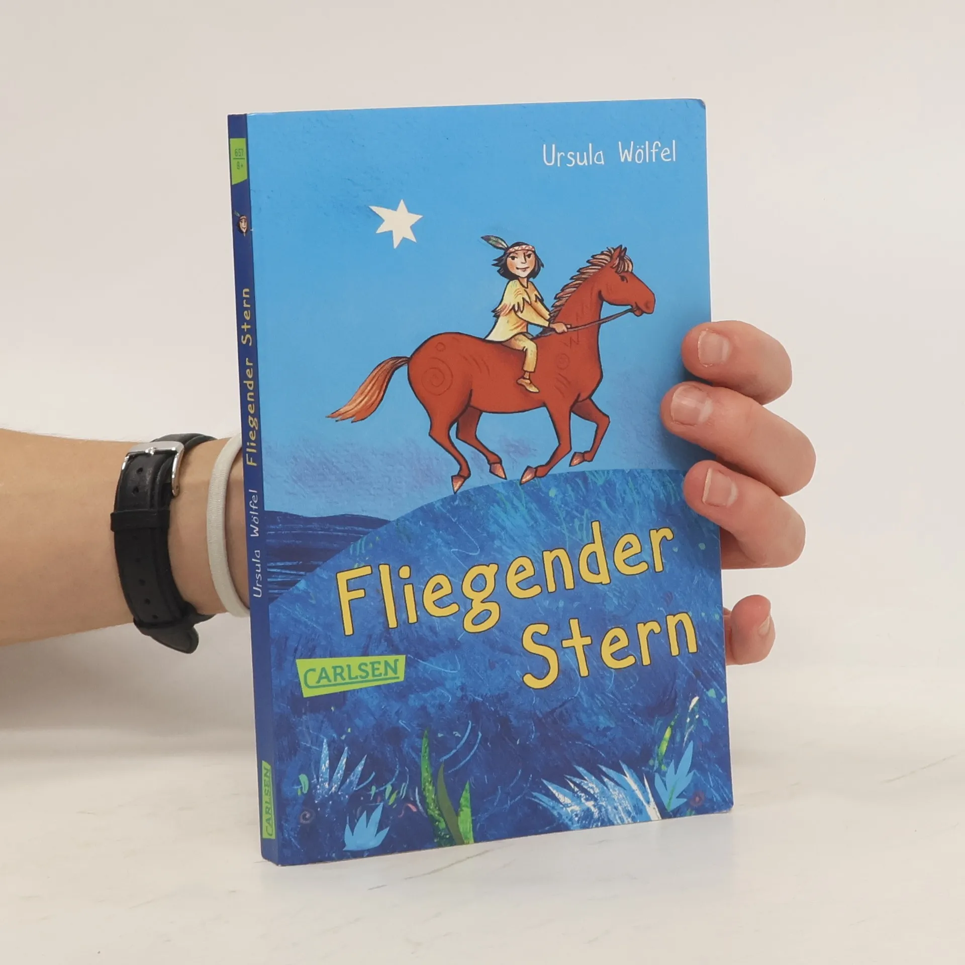 Fliegender Stern | Buch | Paperback | Ursula Wölfel