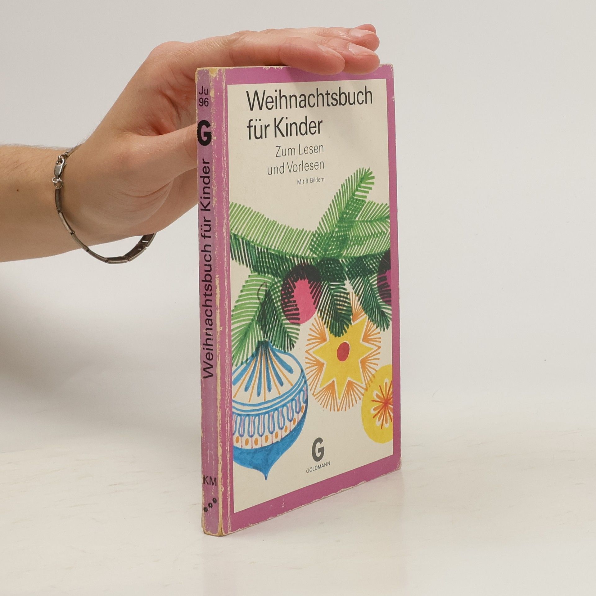 Ingrid Schoefinius-Pfeiffer Weihnachtsbuch für Kinder