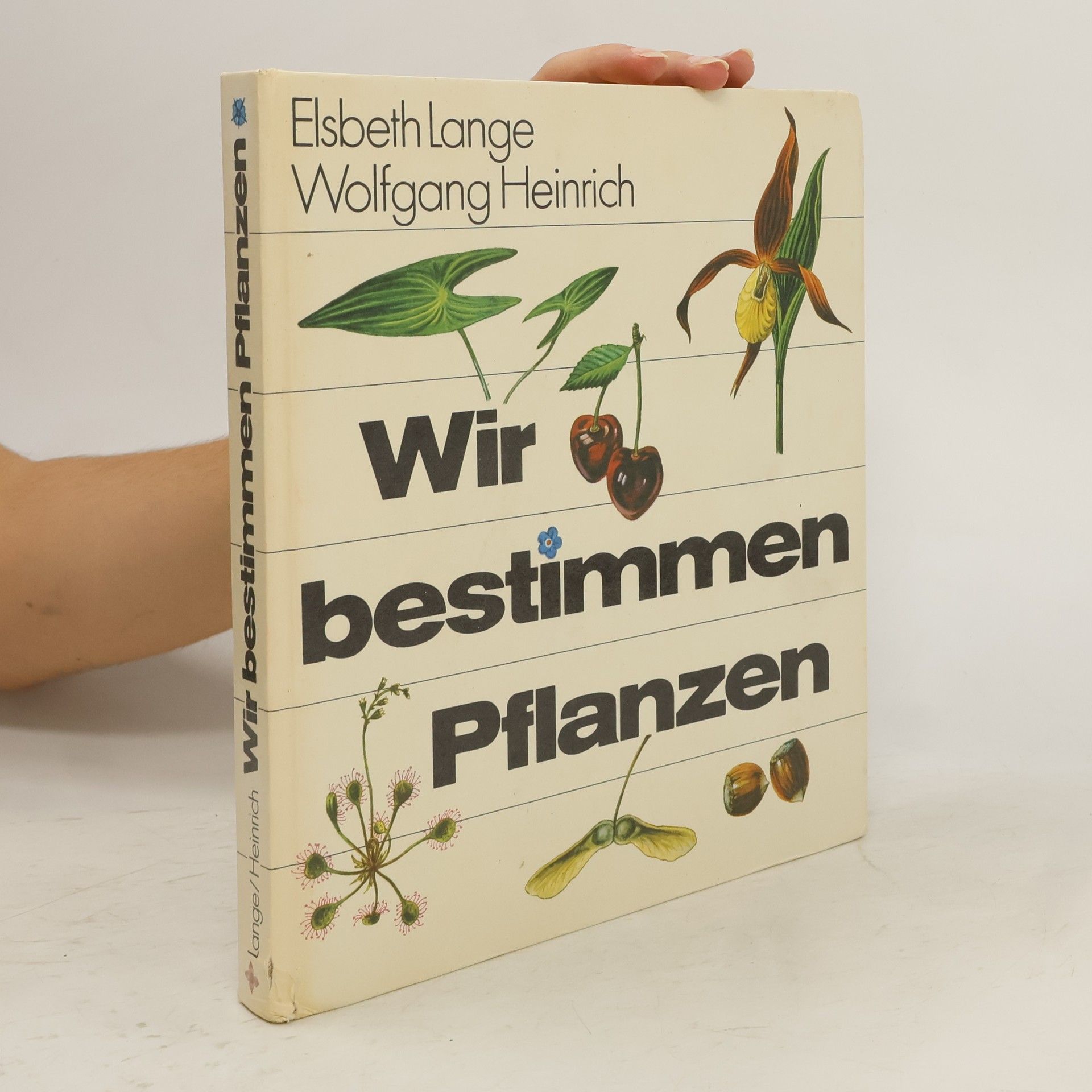 Wolfgang Heinrich Wir bestimmen Pflanzen