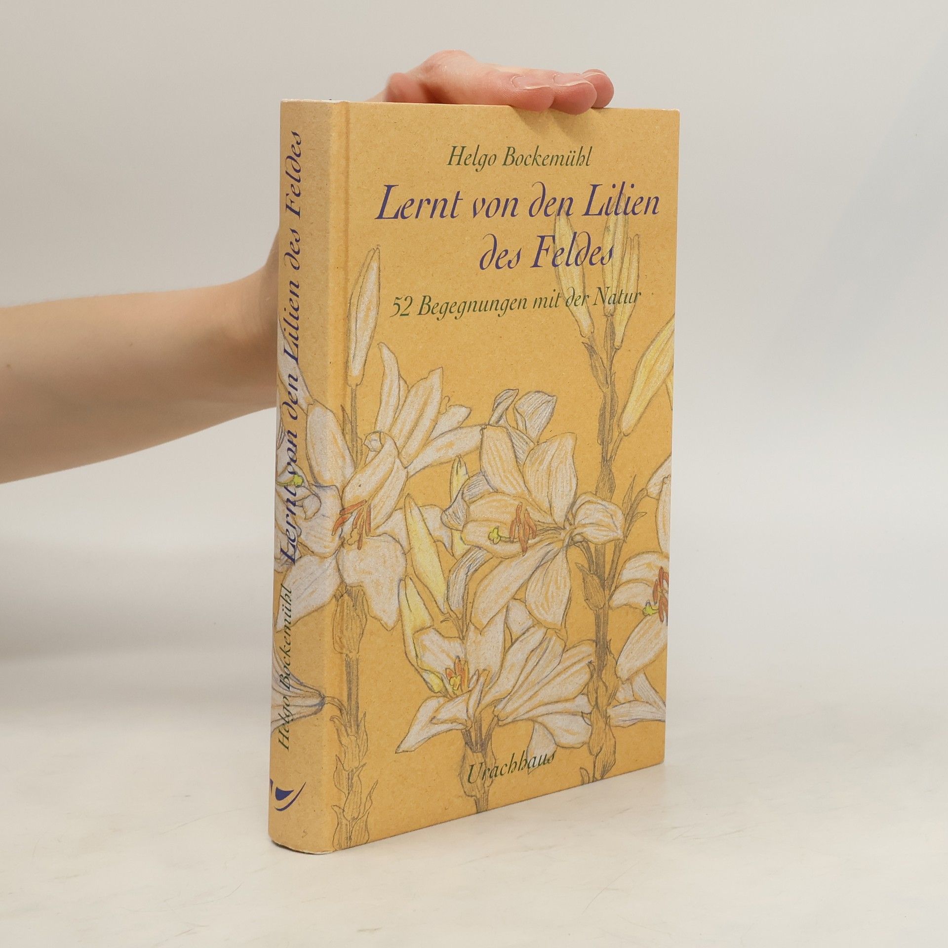 Helgo Bockemühl "Lernt von den Lilien des Feldes"