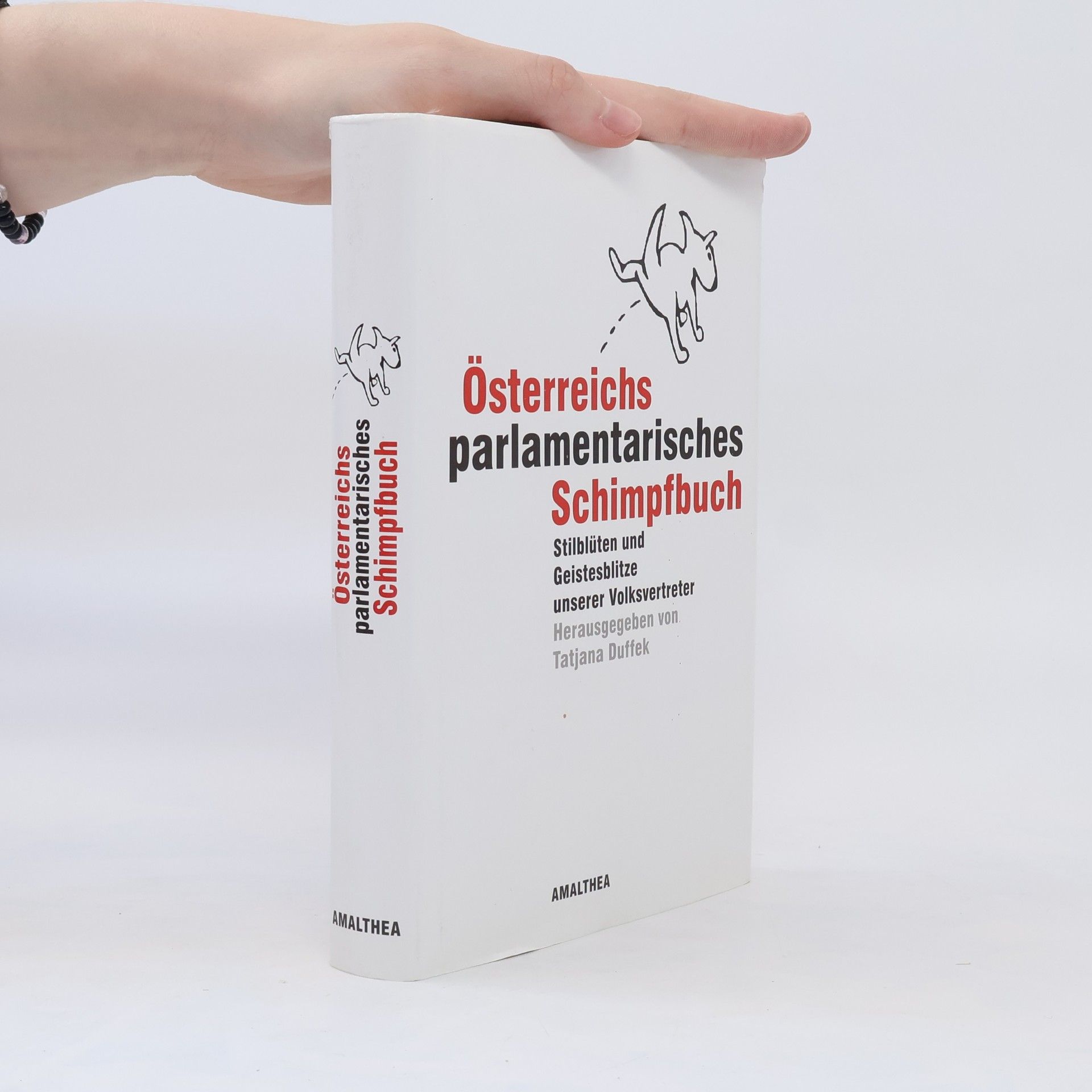 Tatjana Duffek Österreichs parlamentarisches Schimpfbuch