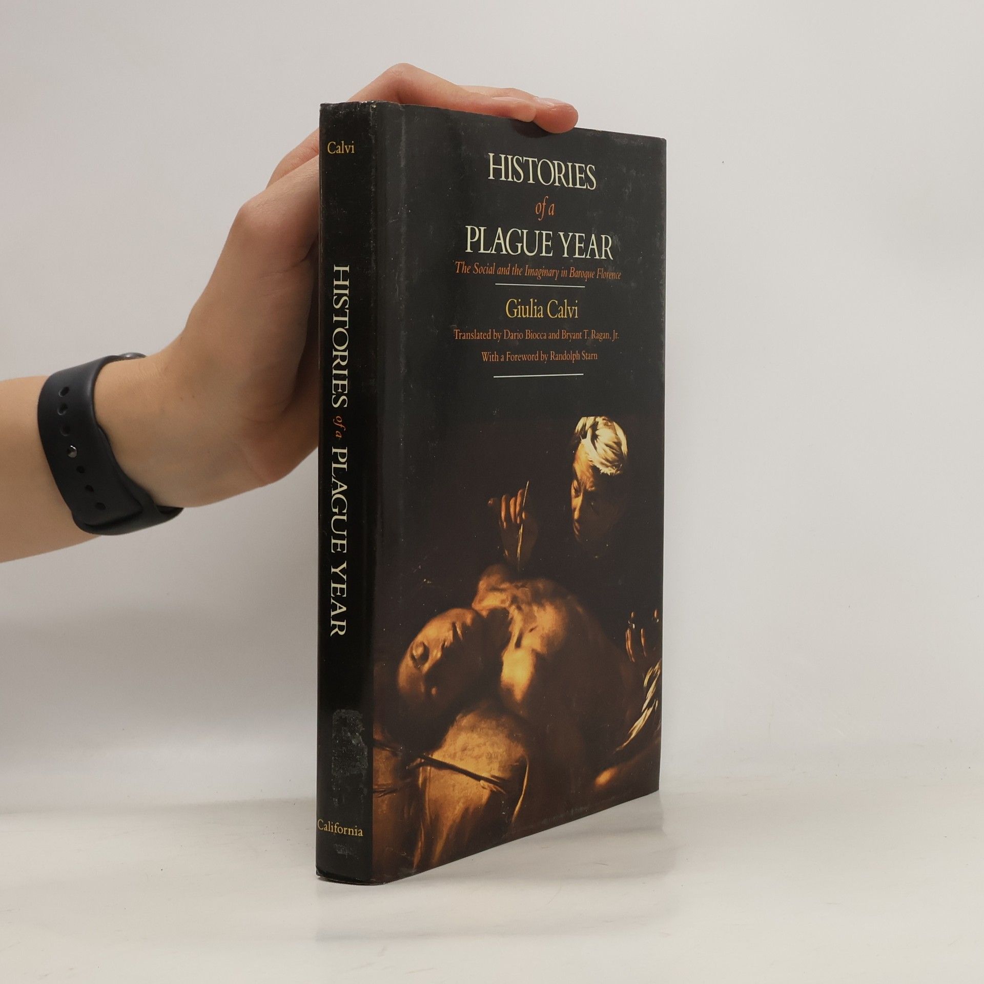 Giulia Calvi Histories of a Plague Year