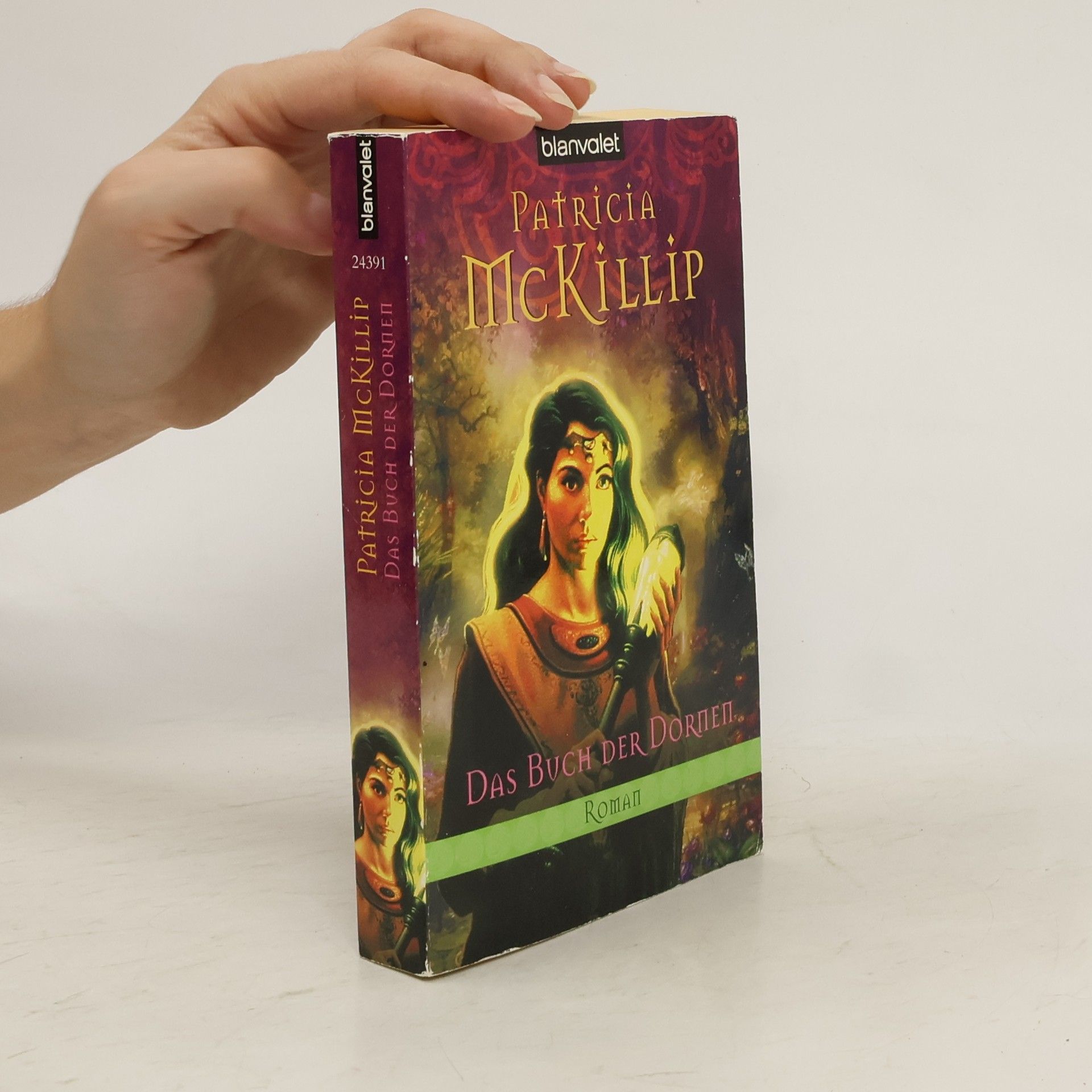 Patricia A. McKillip Das Buch der Dornen