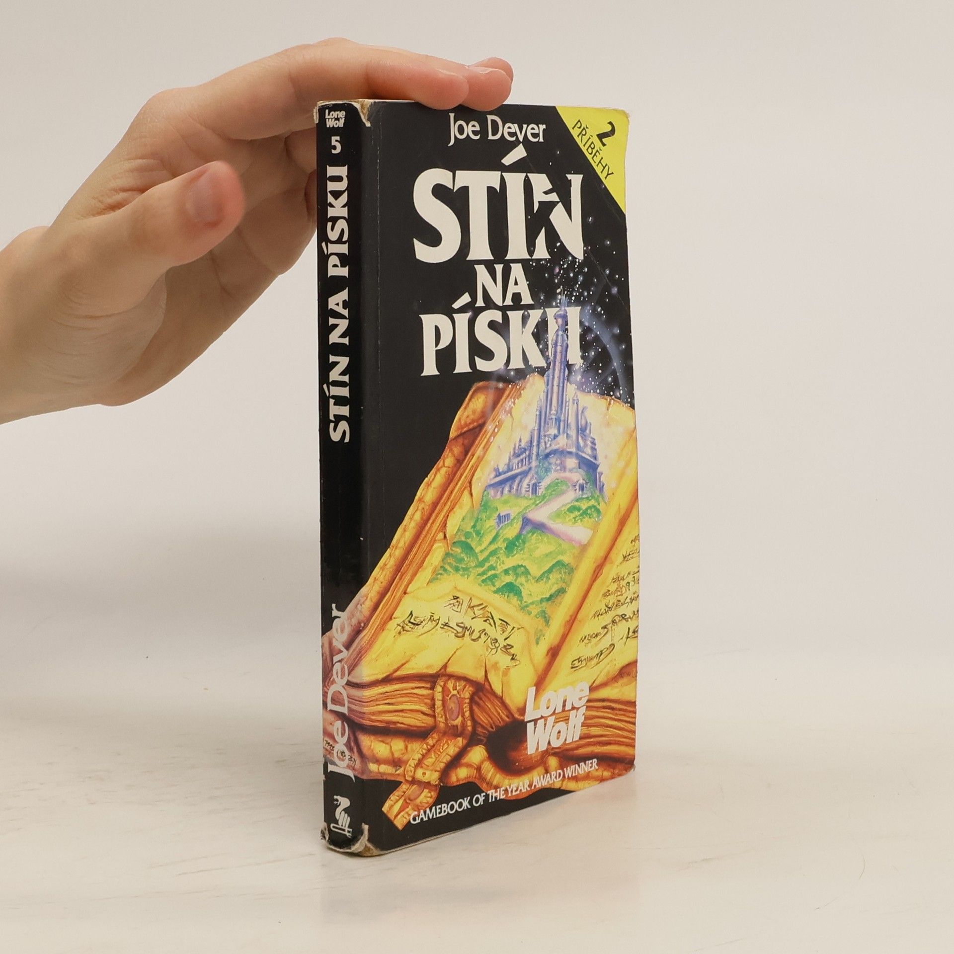 Věra Šedá Stín na písku