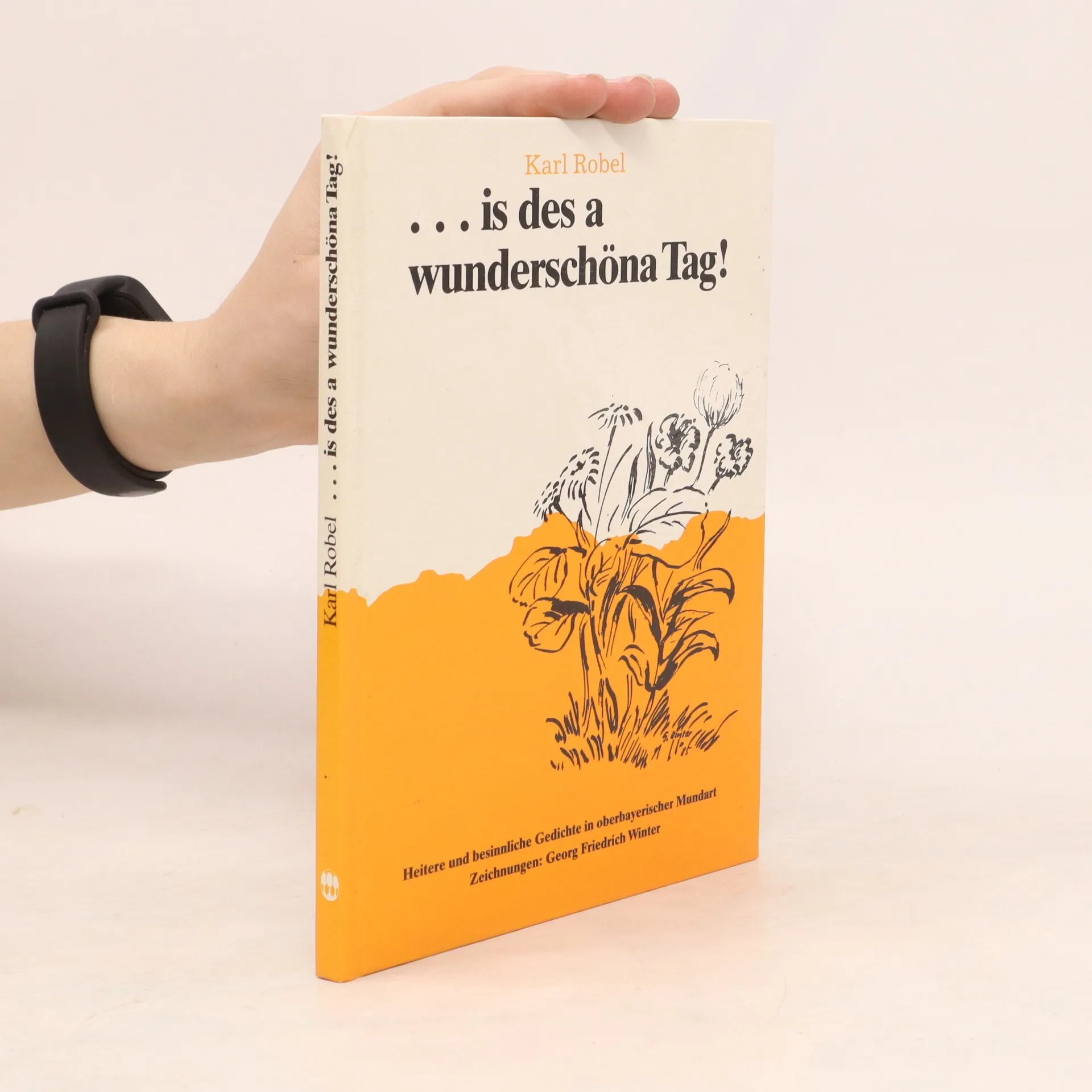 ...is des a wunderschöna Tag! | Kniha | pevná | Karl Robel | DE