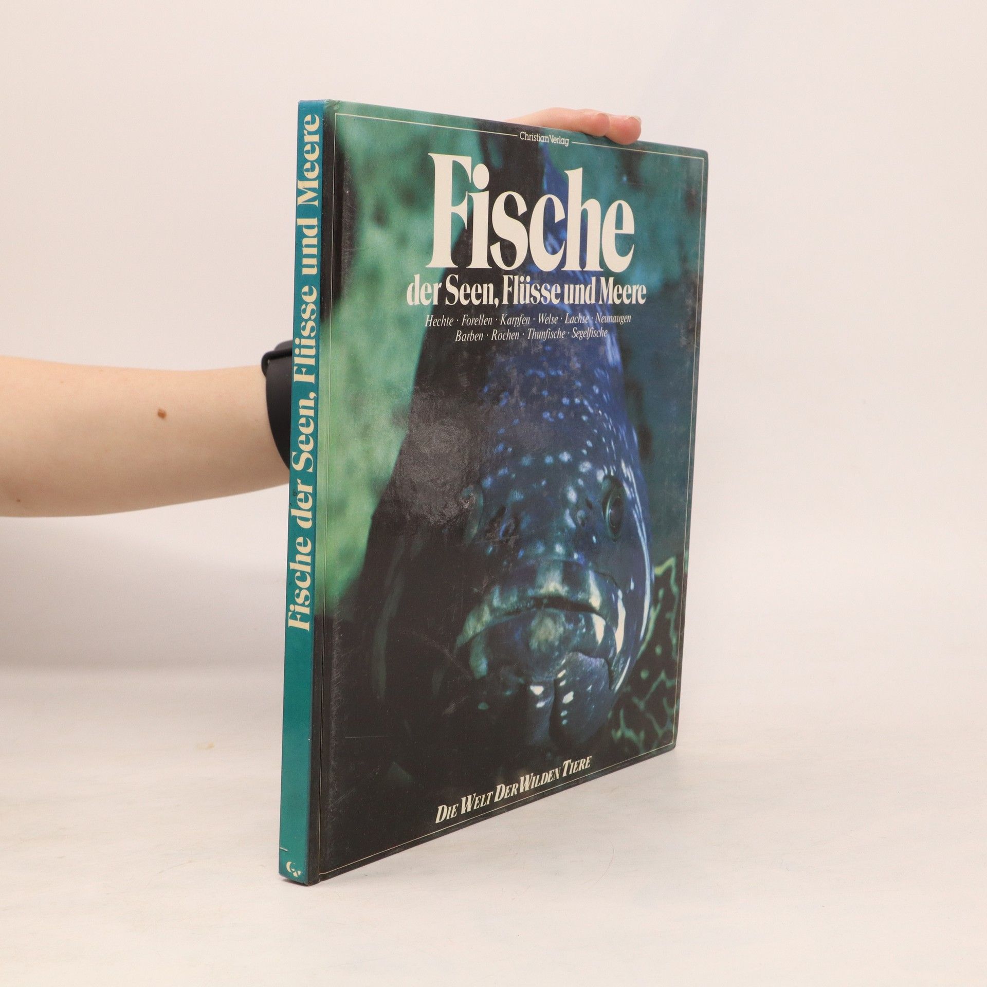 Collective Fische der Seen, Flüsse und Meere