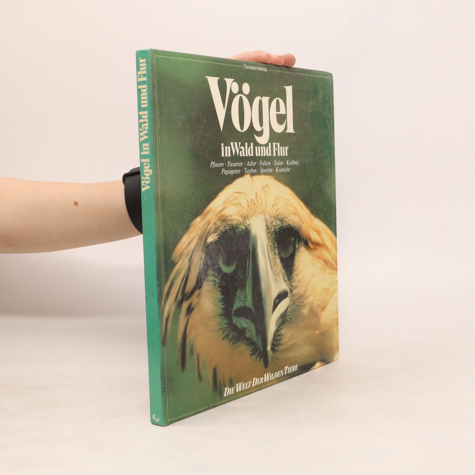Various authors Vögel in Wald und Flur