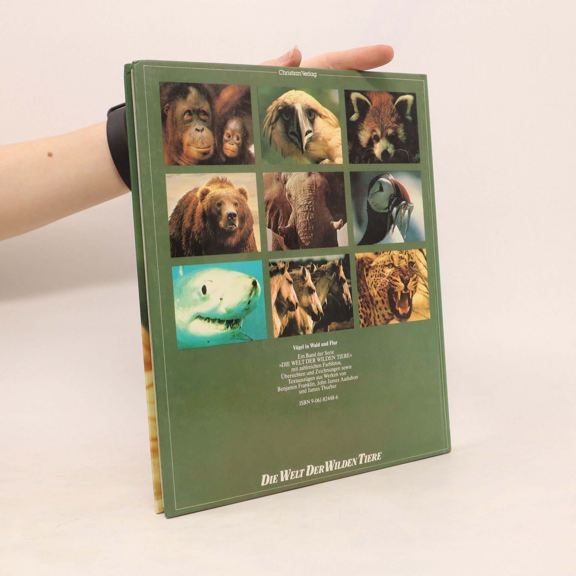 Various authors Vögel in Wald und Flur