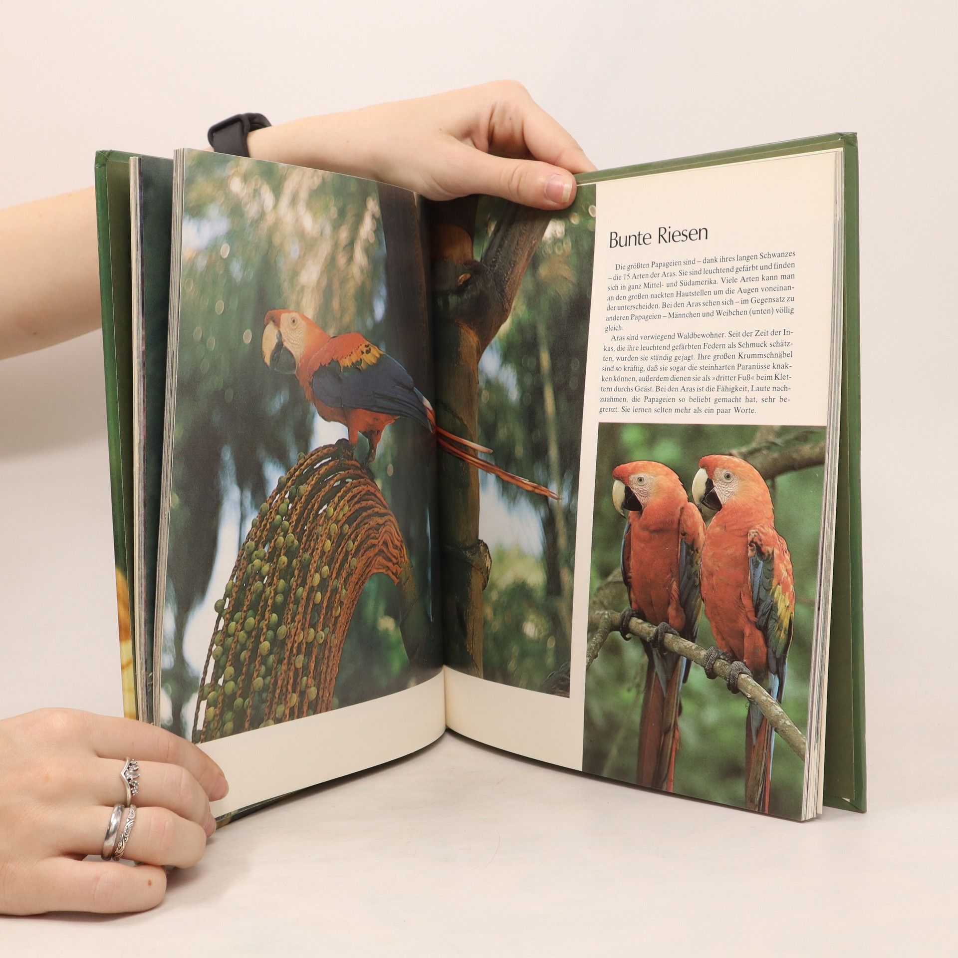 Various authors Vögel in Wald und Flur