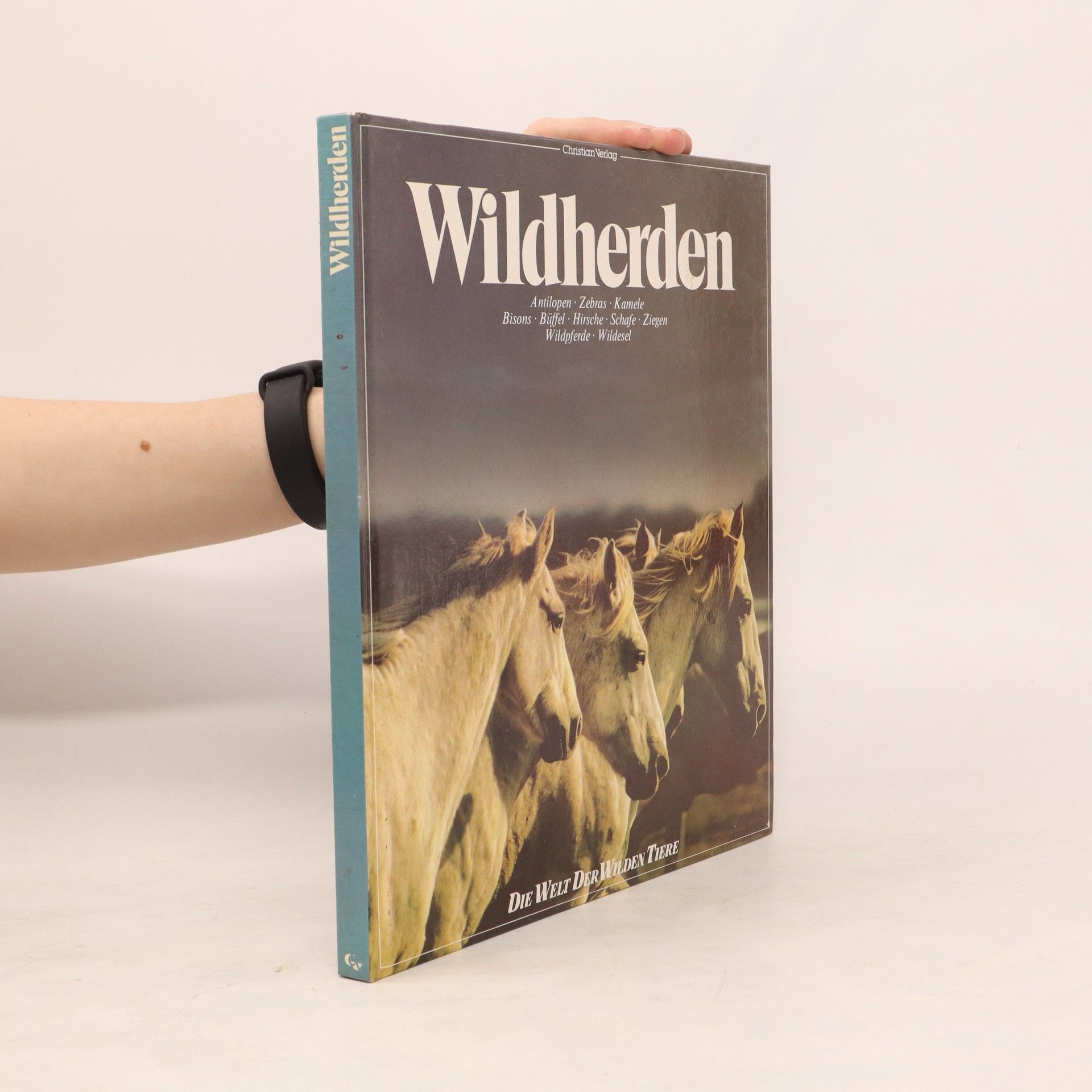 Autorenkollektiv Wildherden