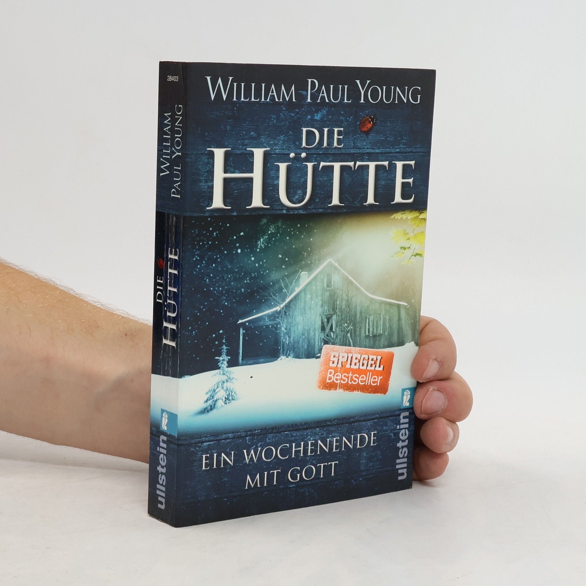 William P. Young Die Hütte