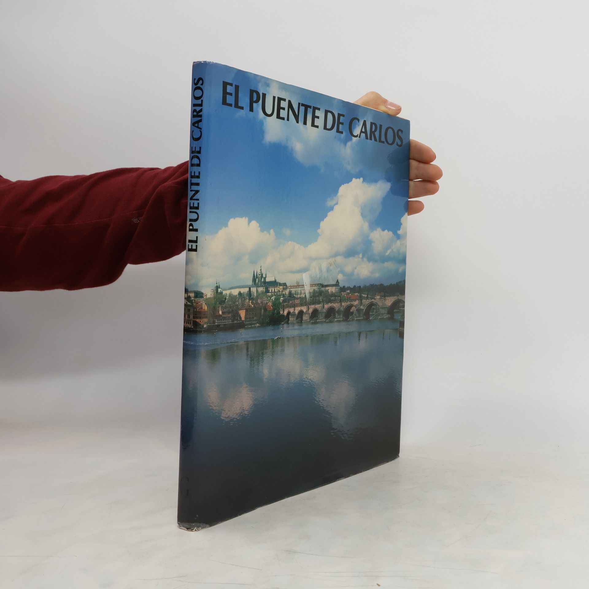 Karel Neubert El Puente de Carlos