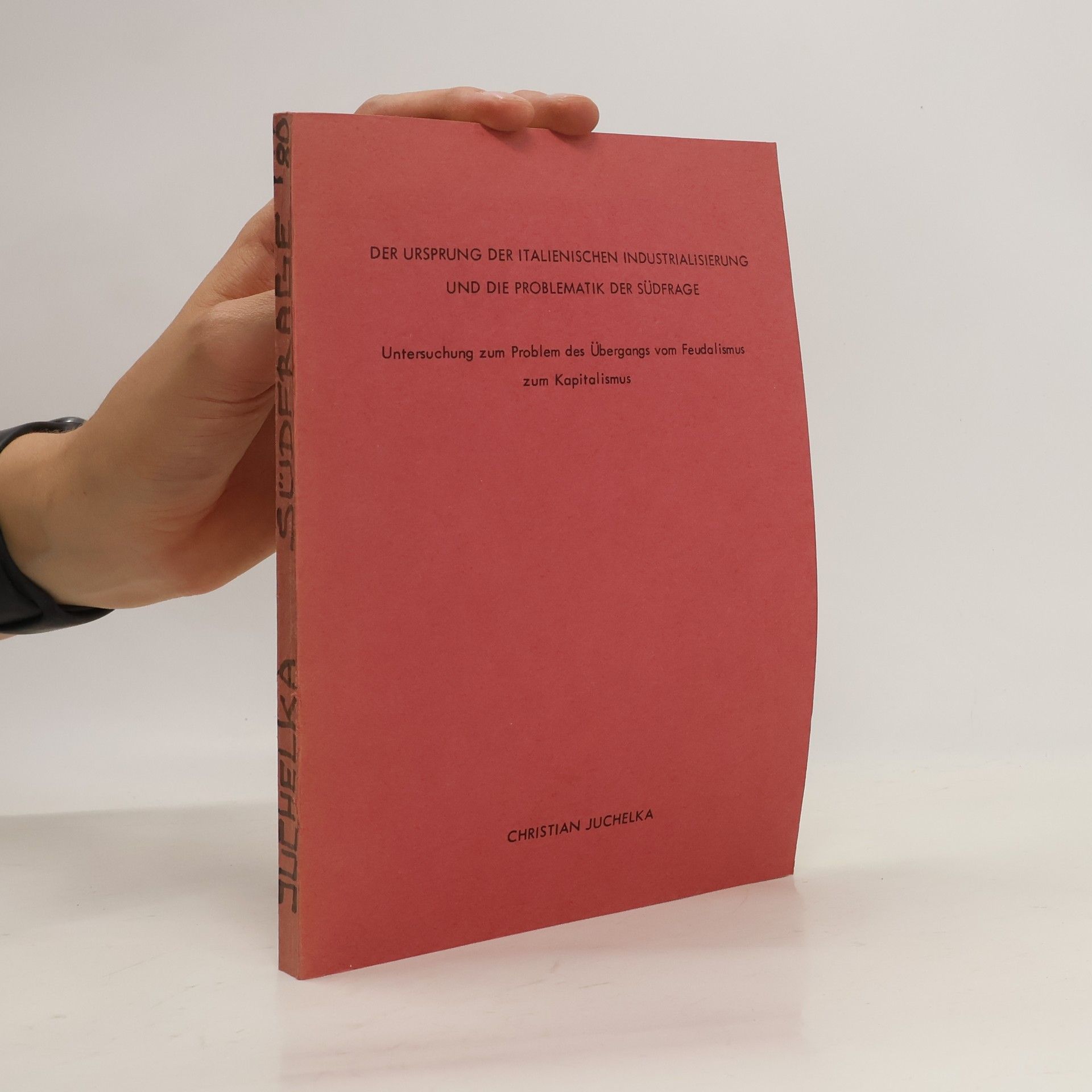 Christian Jucheika Der ursprung der italienischen industrialisierung und die problematik der Südfrage