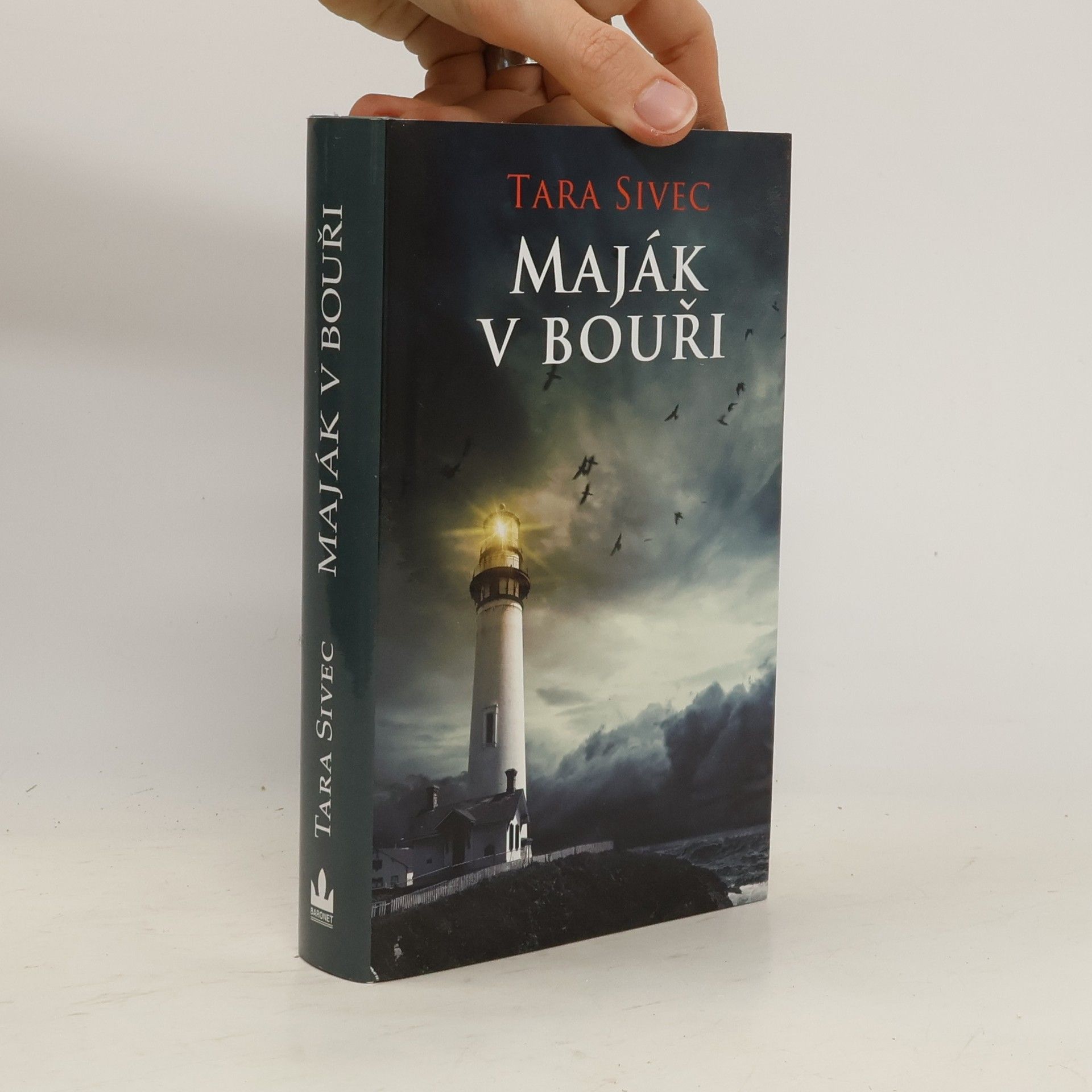 Tara Sivec Maják v bouři